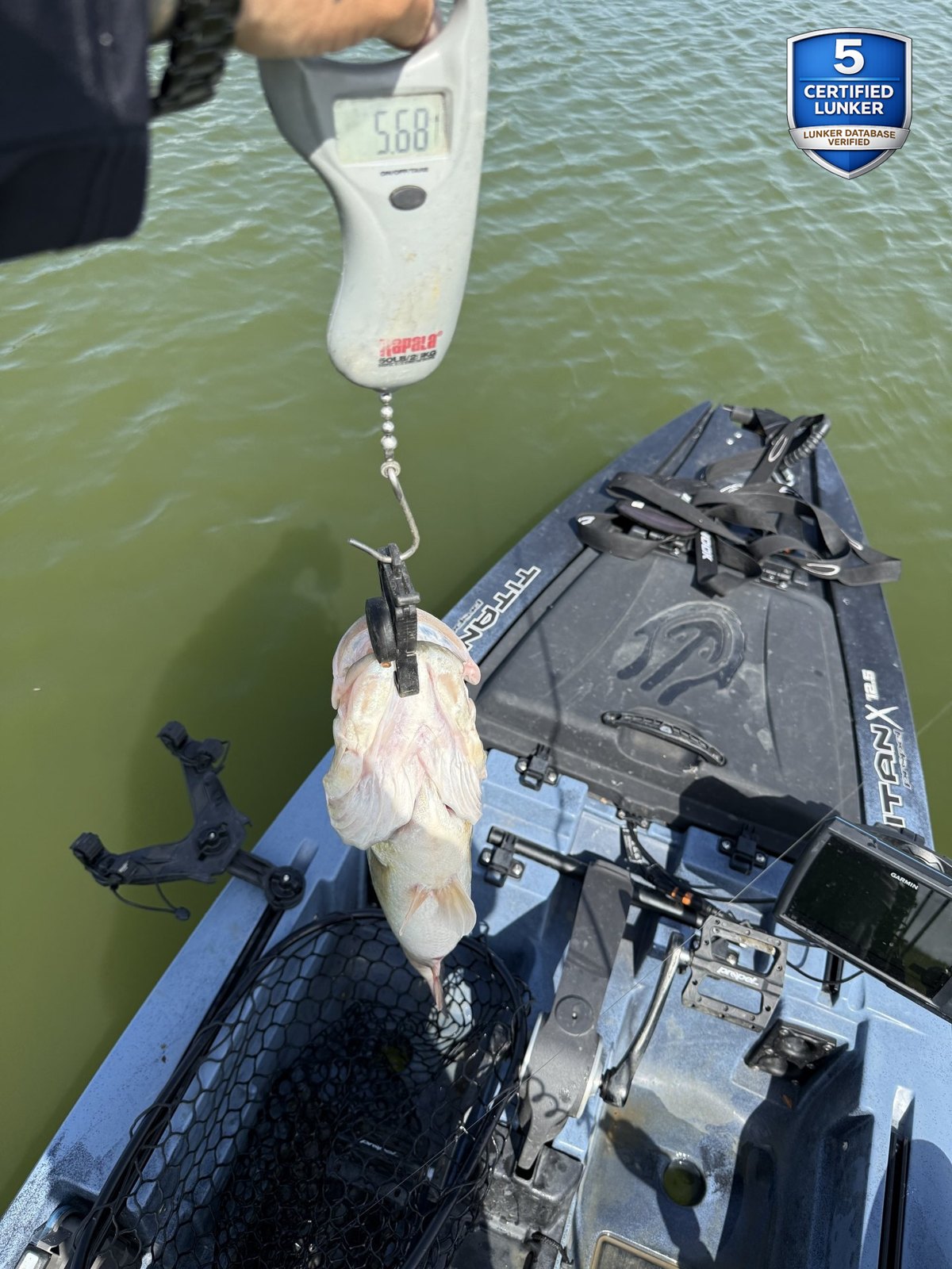 Largemouth Bass catch photo 2