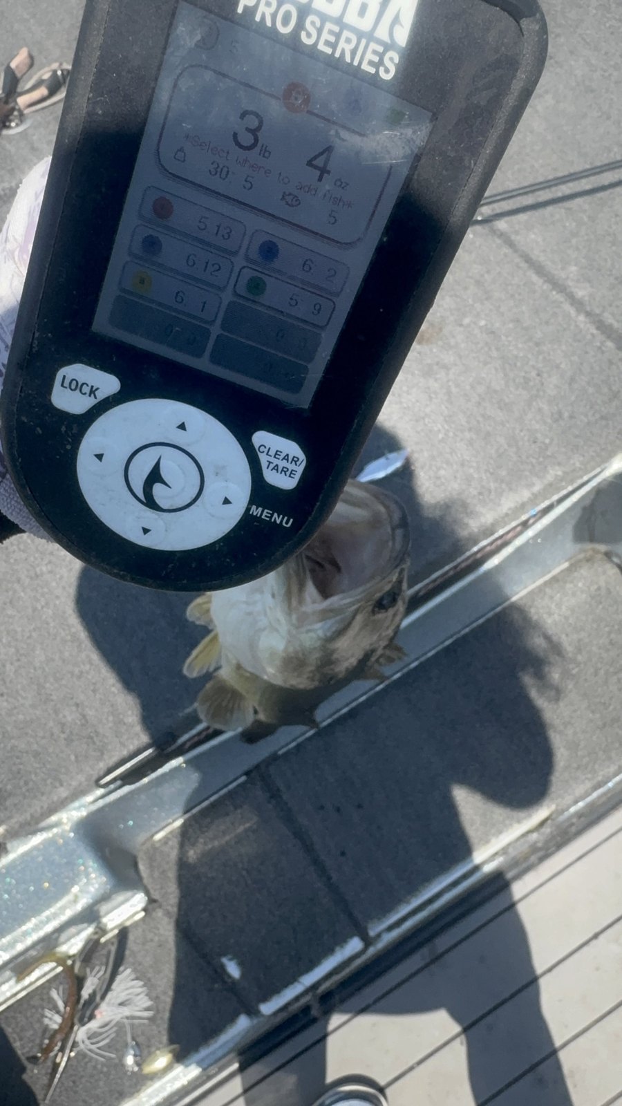 Largemouth Bass · 3 lbs 4 oz