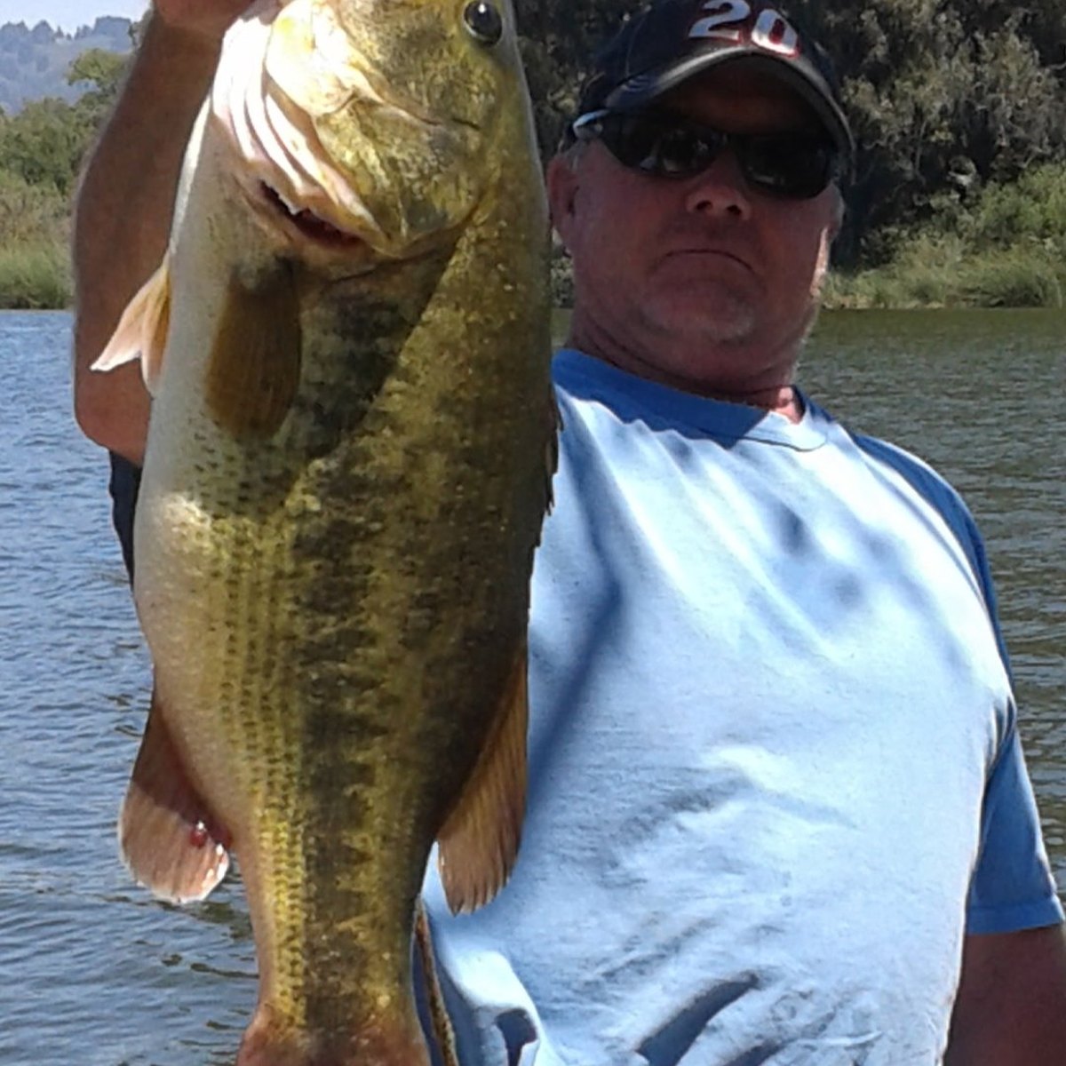 Largemouth Bass — 12 lbs 14 oz