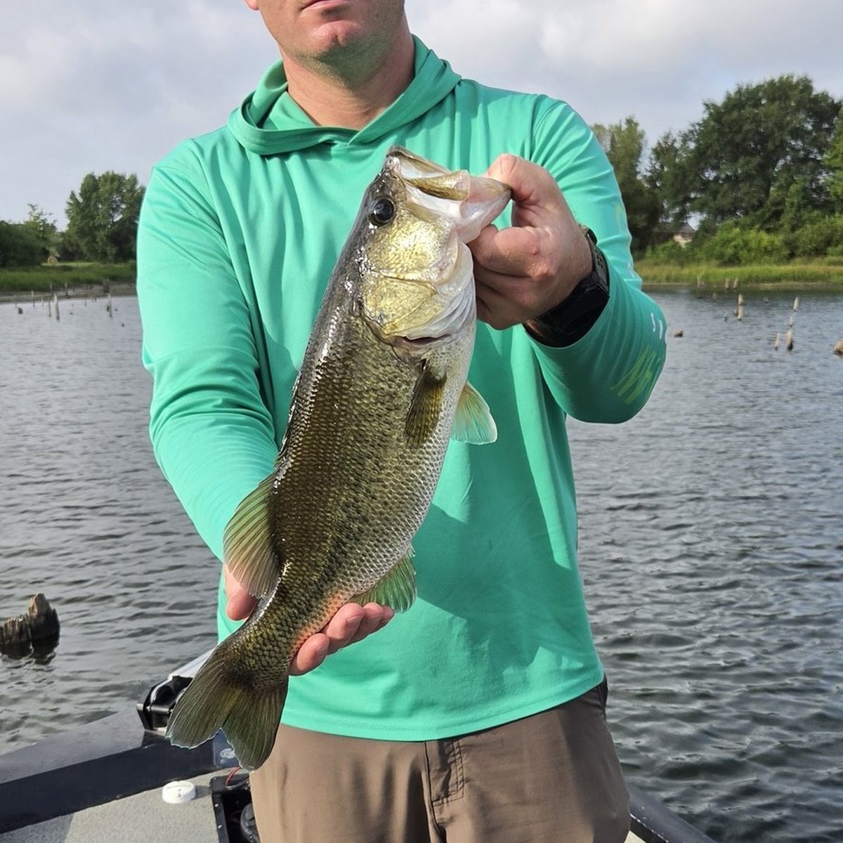 Largemouth Bass — 3 lbs 3 oz