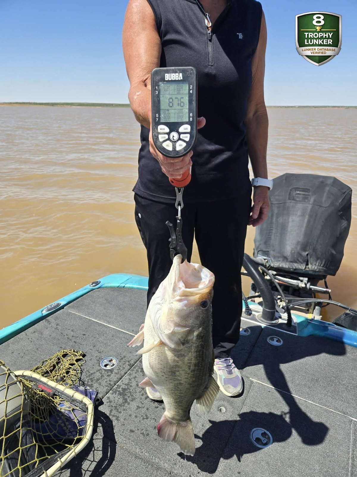 Largemouth Bass catch photo 2