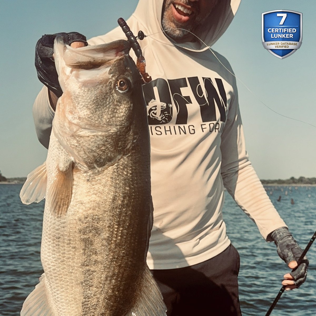 Largemouth Bass — 7 lbs 5 oz