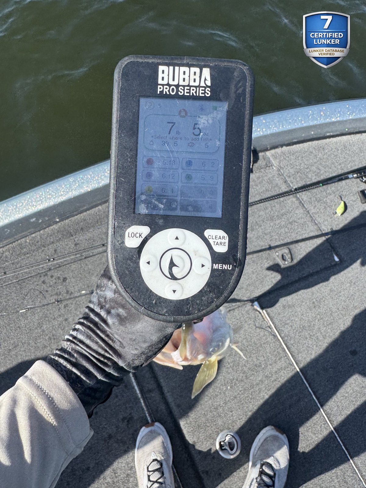 Largemouth Bass catch photo 2
