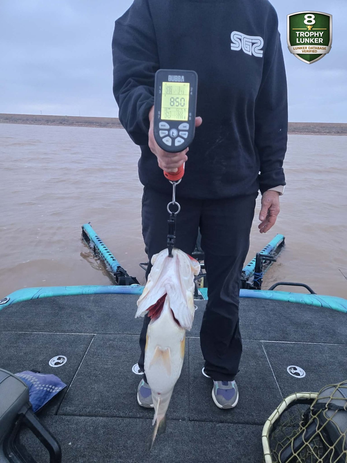 Largemouth Bass catch photo 2