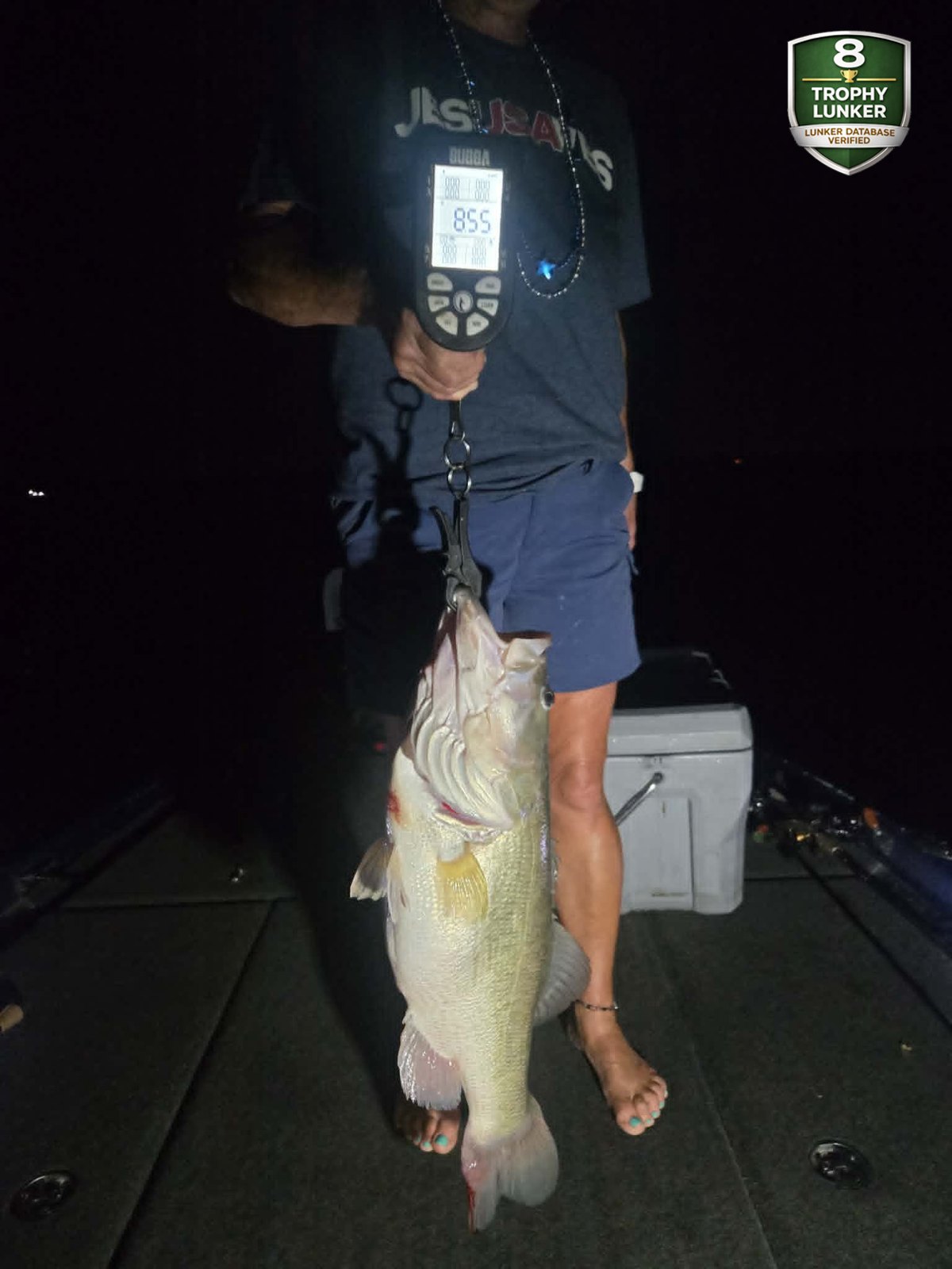 Largemouth Bass catch photo 2