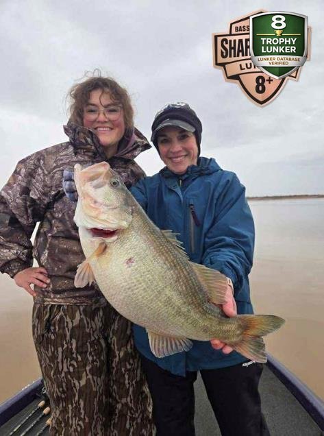 Largemouth Bass catch photo 1