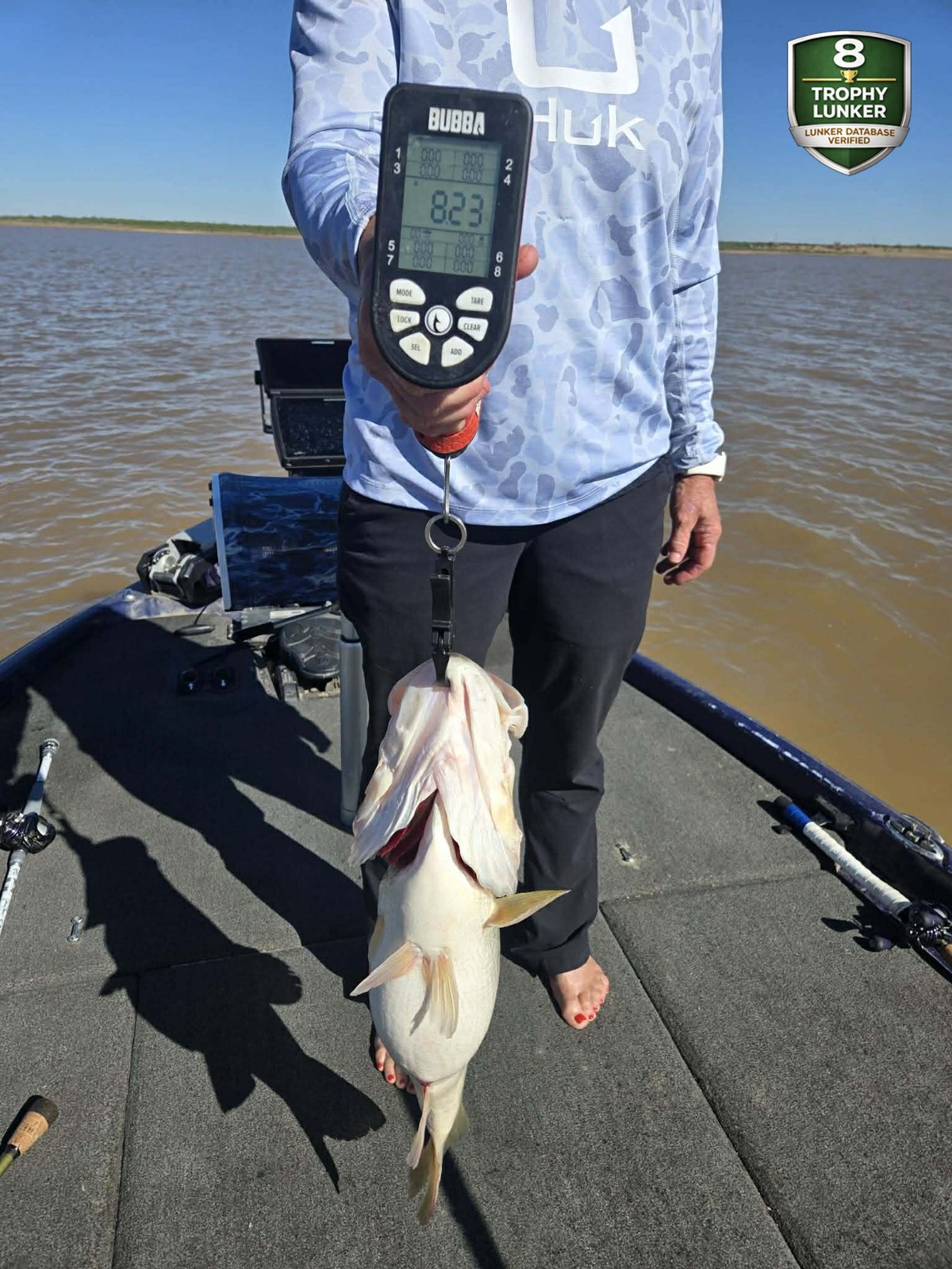 Largemouth Bass catch photo 2