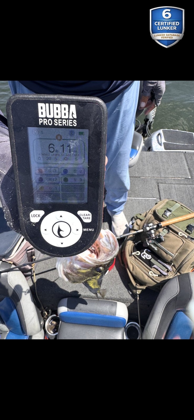 Largemouth Bass catch photo 2