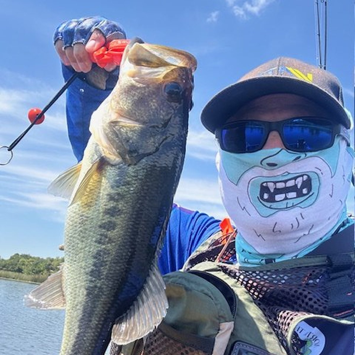 Largemouth Bass — 1 lbs