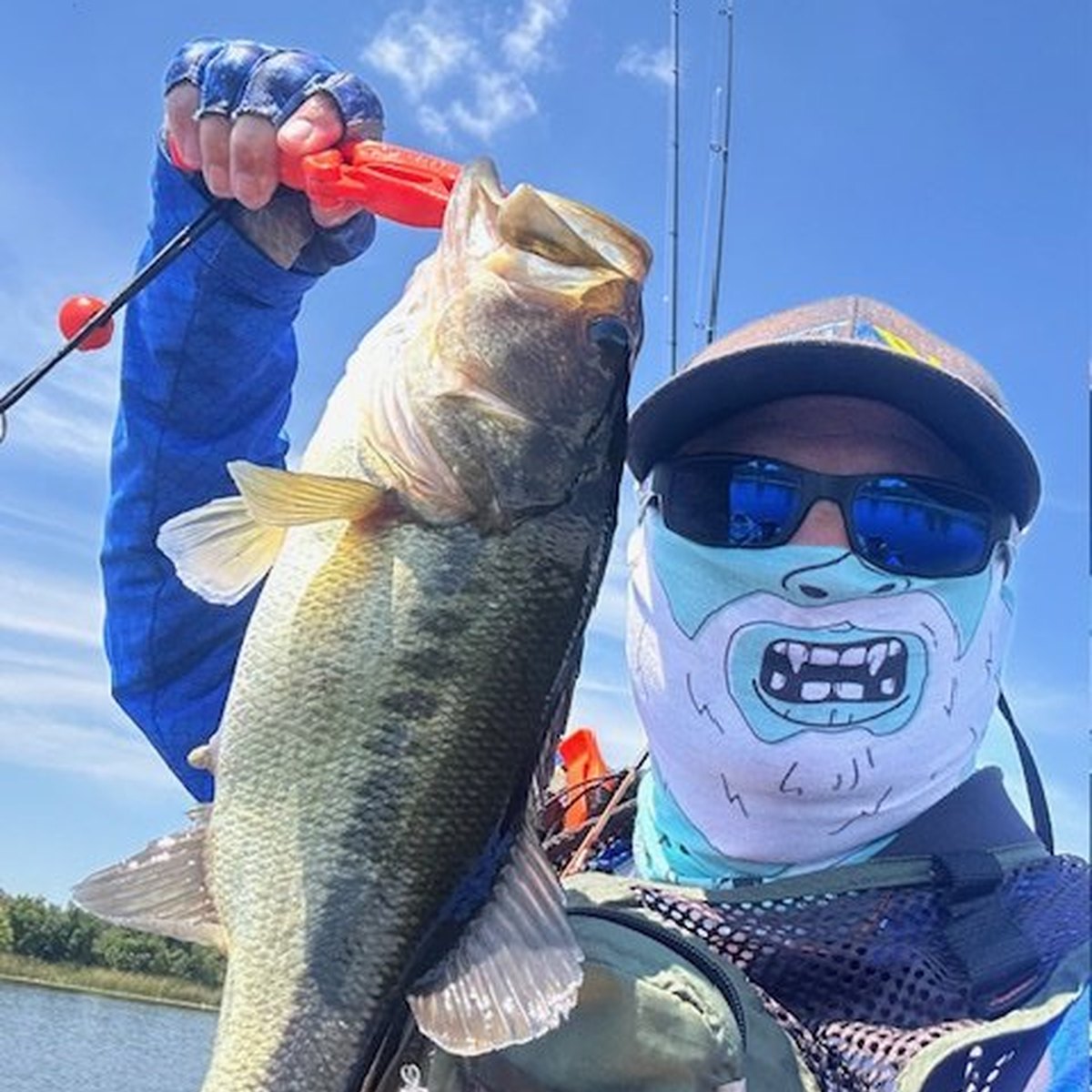 Largemouth Bass — 1 lbs