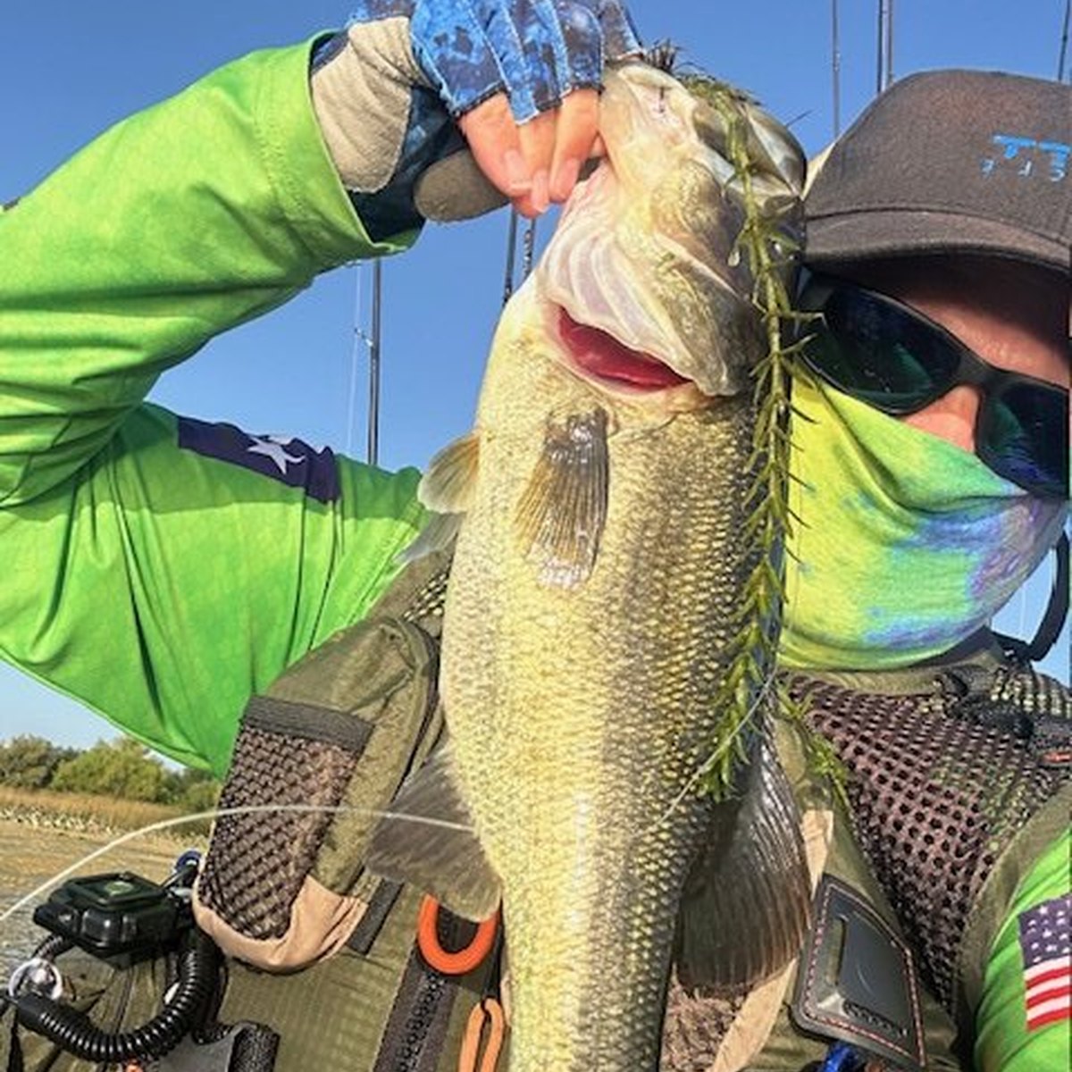 Largemouth Bass — 1 lbs
