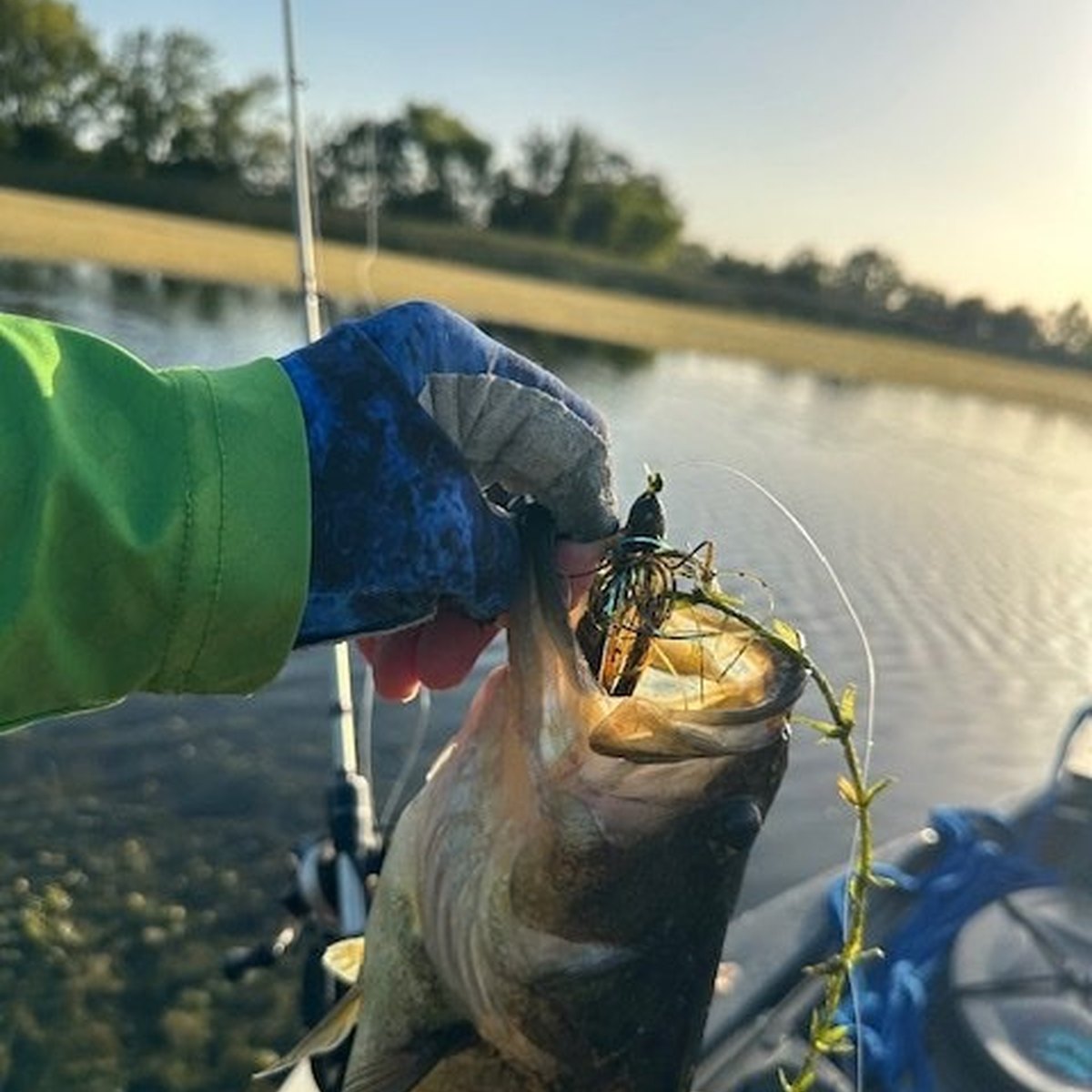 Largemouth Bass — 1 lbs