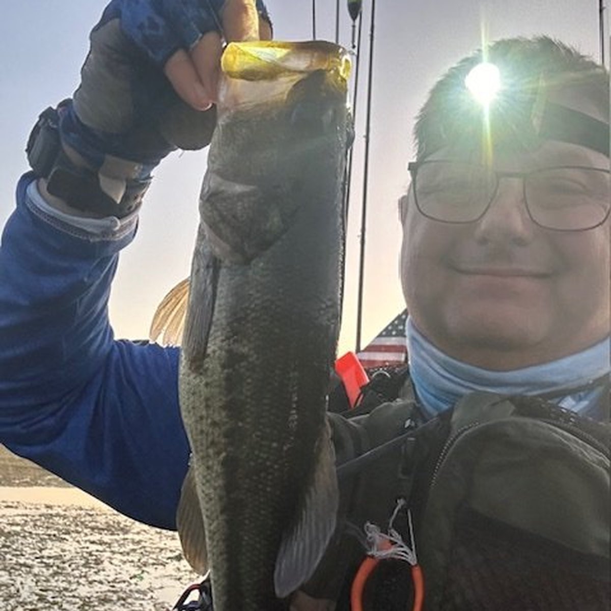 Largemouth Bass — 1 lbs