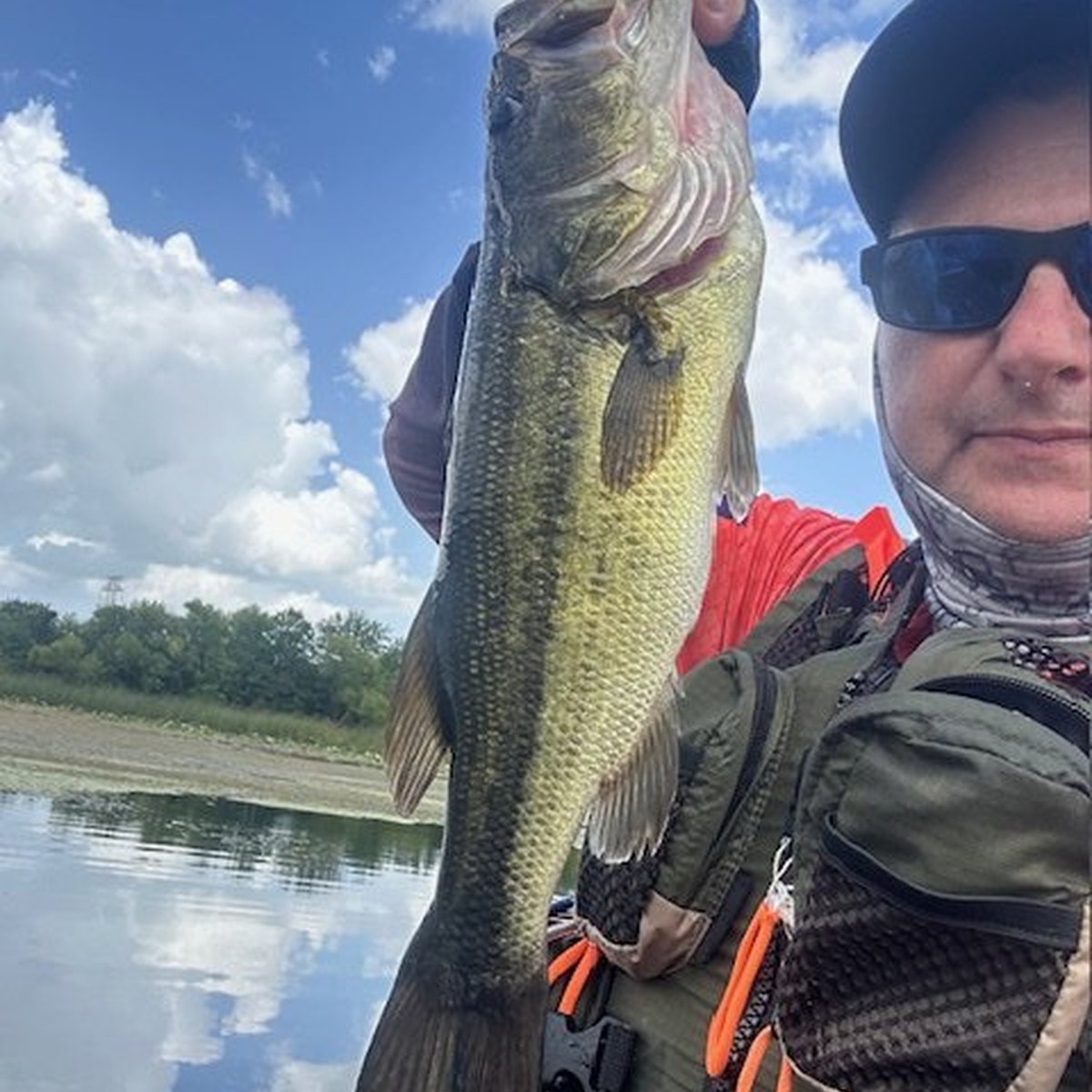 Largemouth Bass — 1 lbs