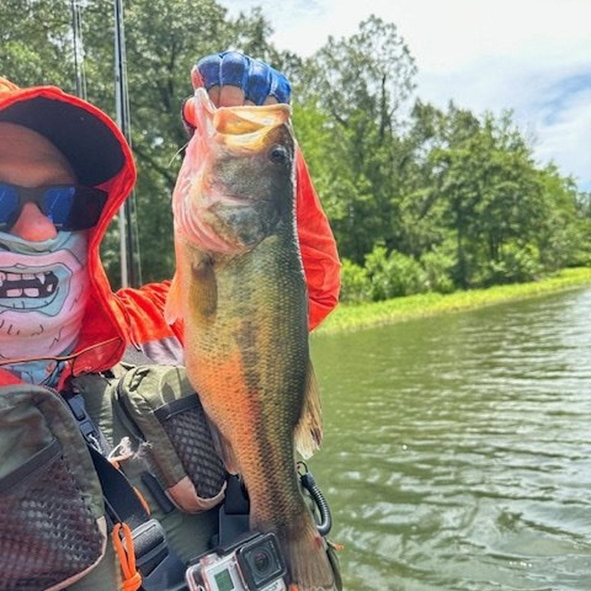 Largemouth Bass — 1 lbs