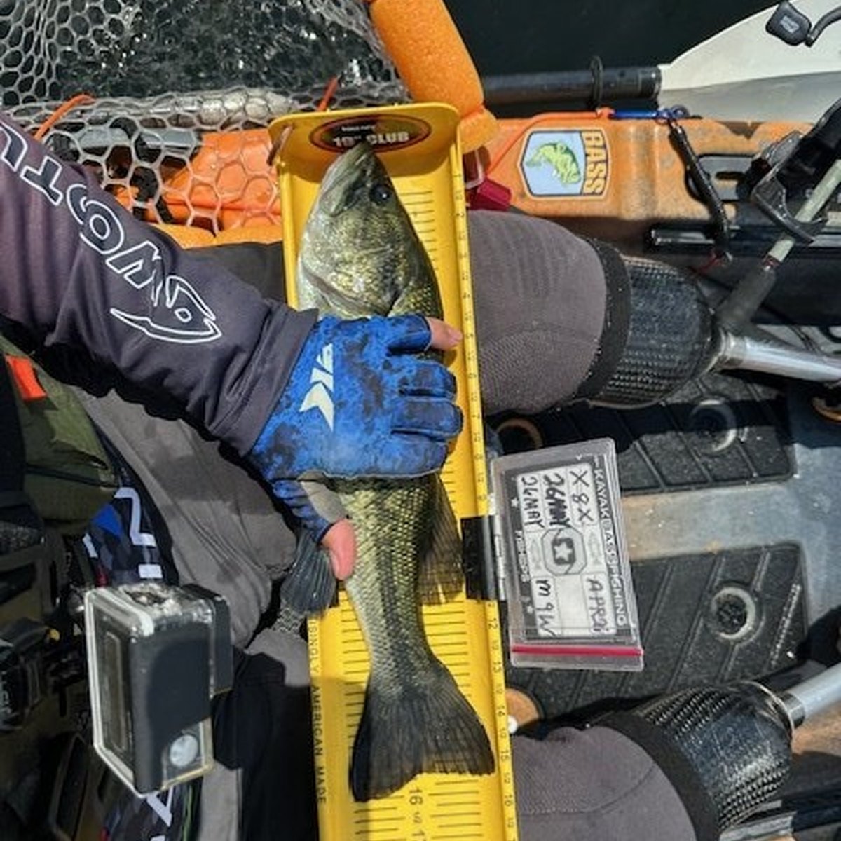 Largemouth Bass — 1 lbs