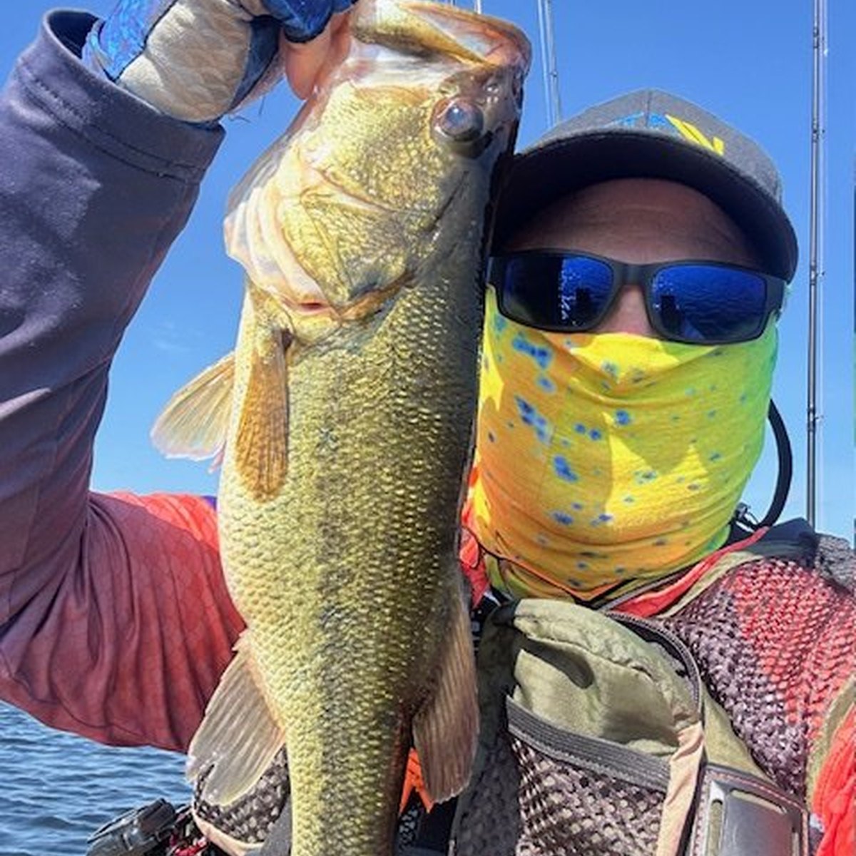 Largemouth Bass — 1 lbs
