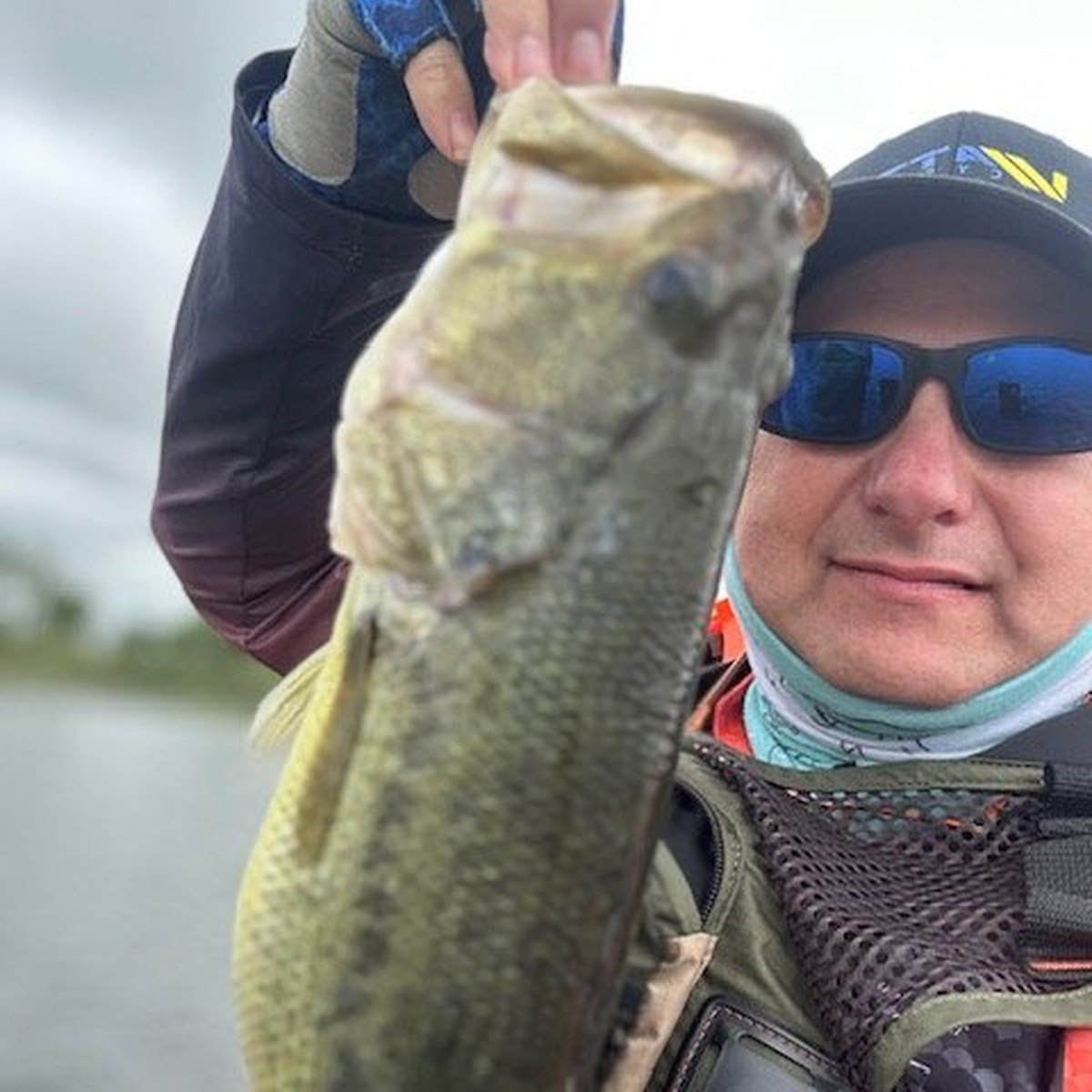 Largemouth Bass — 1 lbs