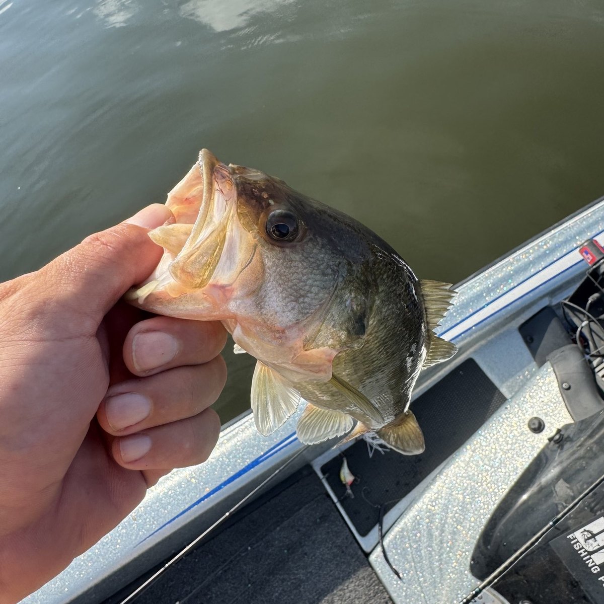 Largemouth Bass — 1 lbs 4 oz