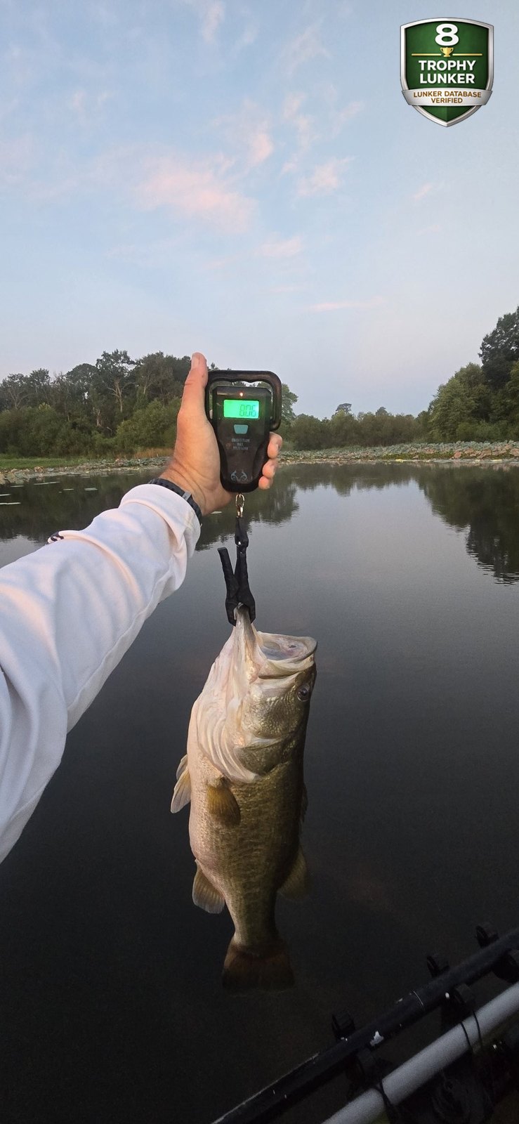 Largemouth Bass catch photo 2