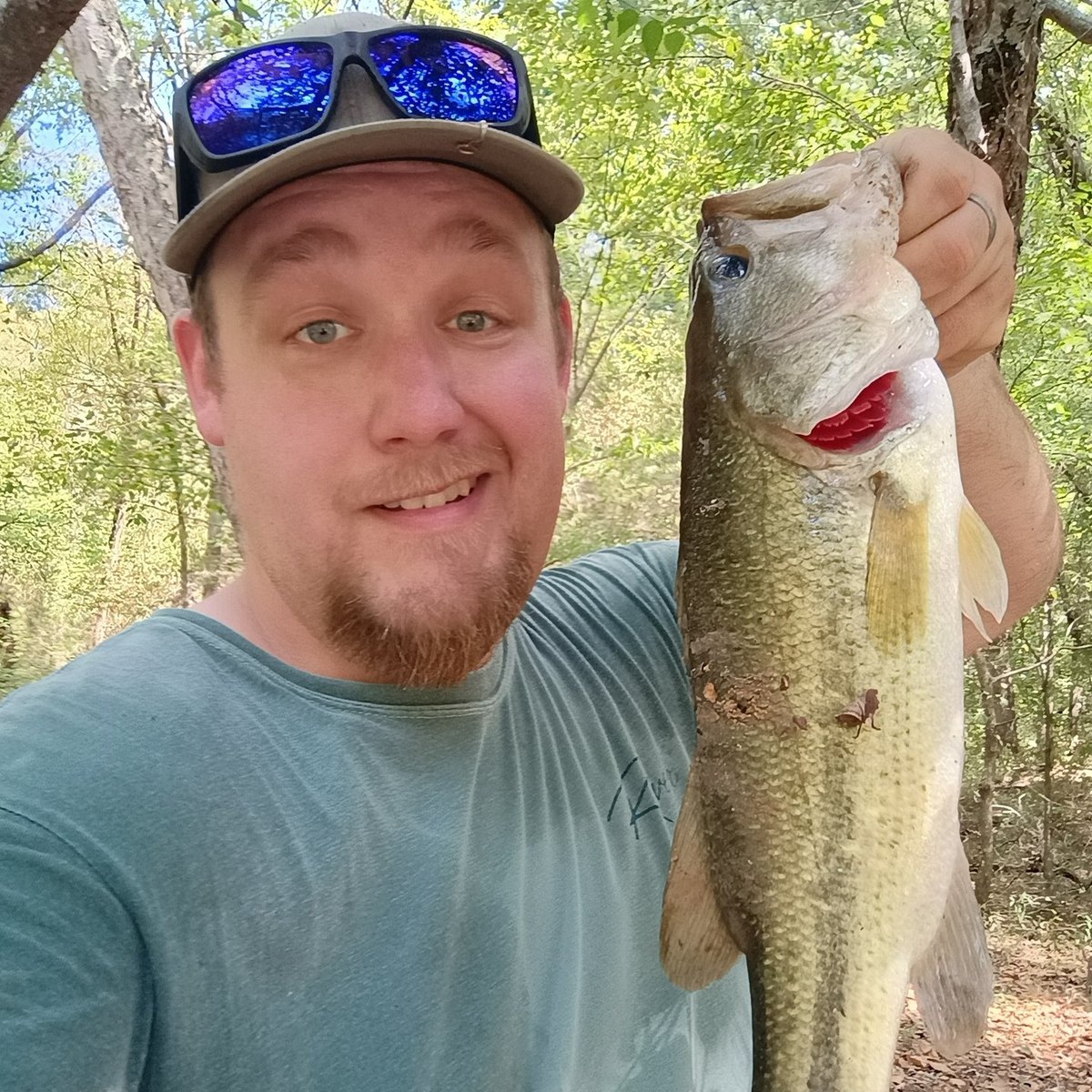 Largemouth Bass — 2 lbs