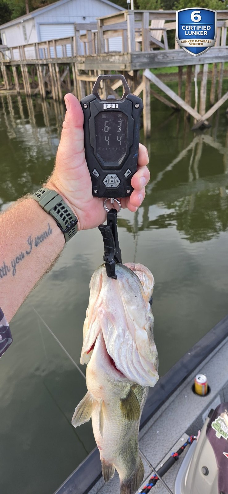 Largemouth Bass catch photo 2