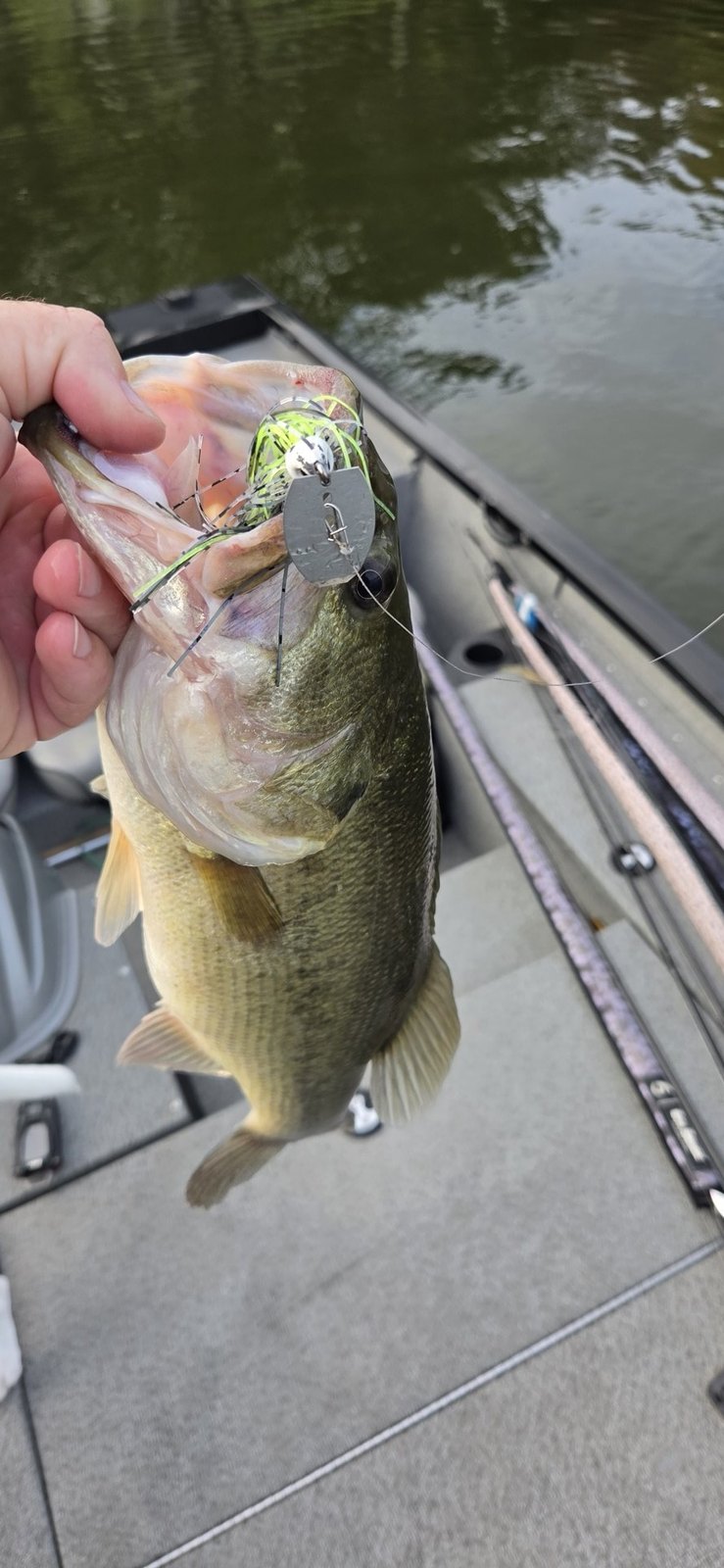 Largemouth Bass · 4 lbs 7 oz