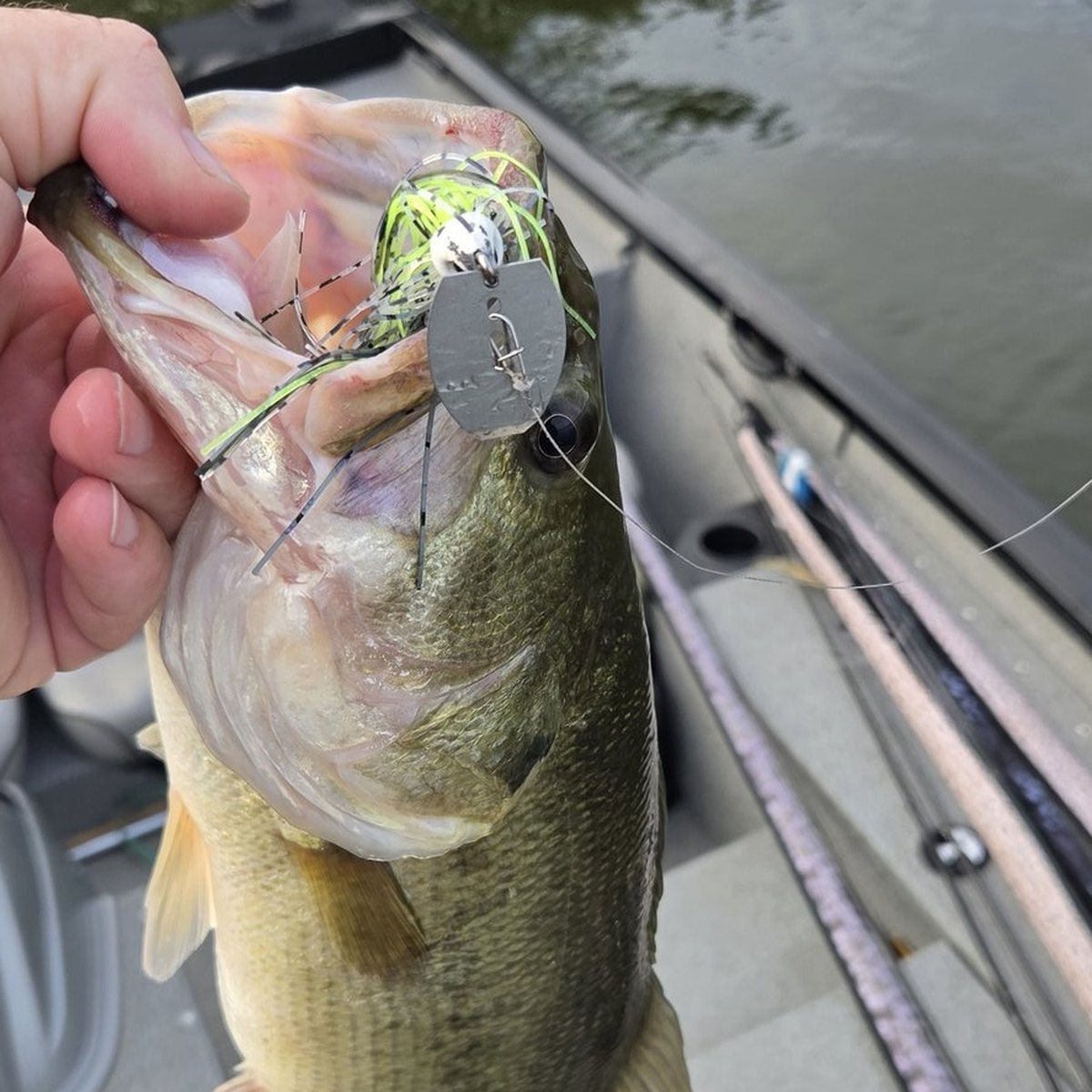 Largemouth Bass — 4 lbs 7 oz