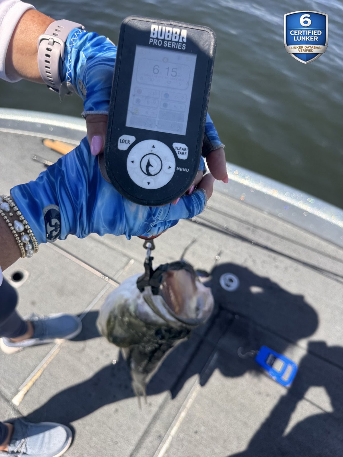 Largemouth Bass catch photo 2