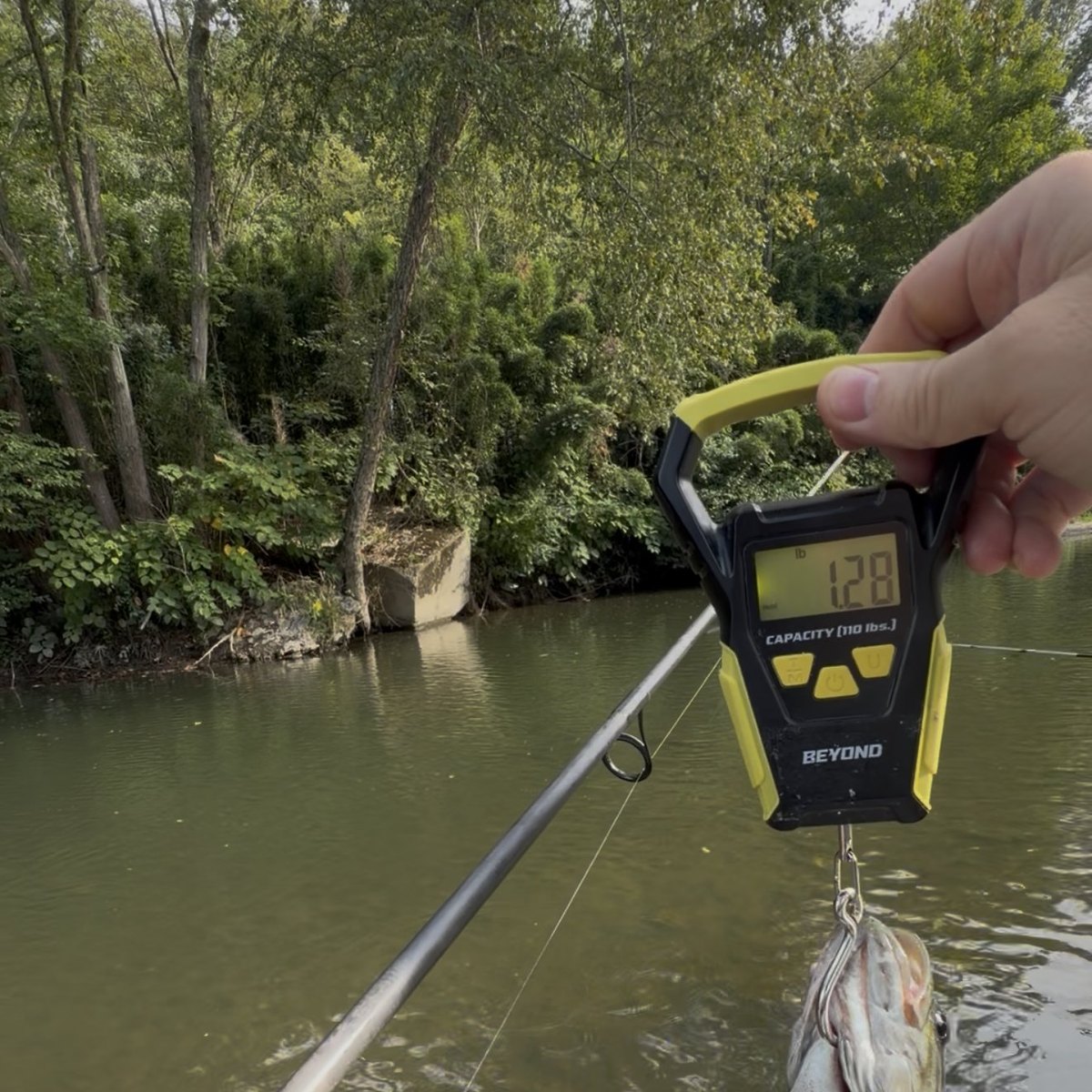 Largemouth Bass — 1 lbs 4 oz