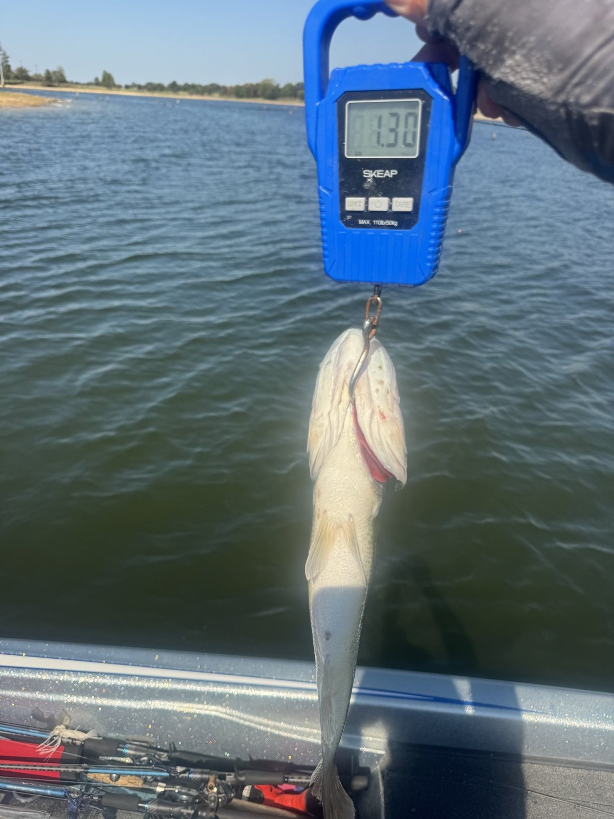 Largemouth Bass · 1 lbs 4 oz