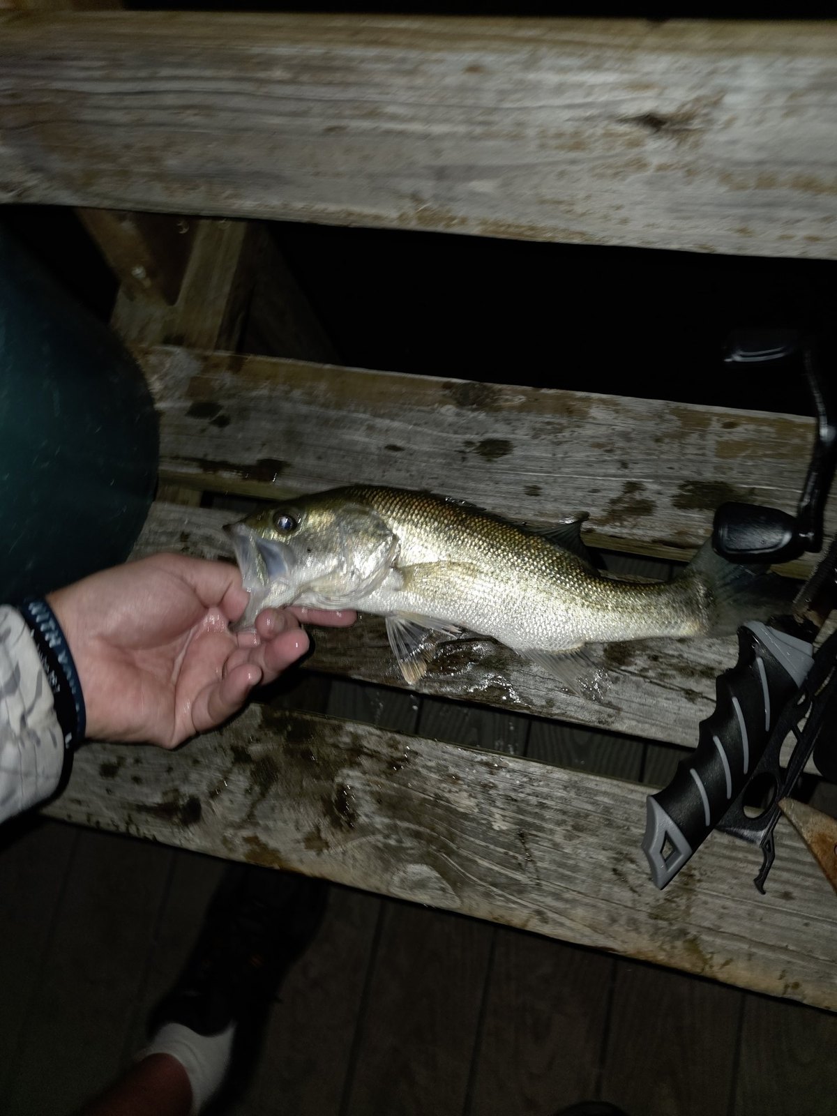 Largemouth Bass · 1 lbs