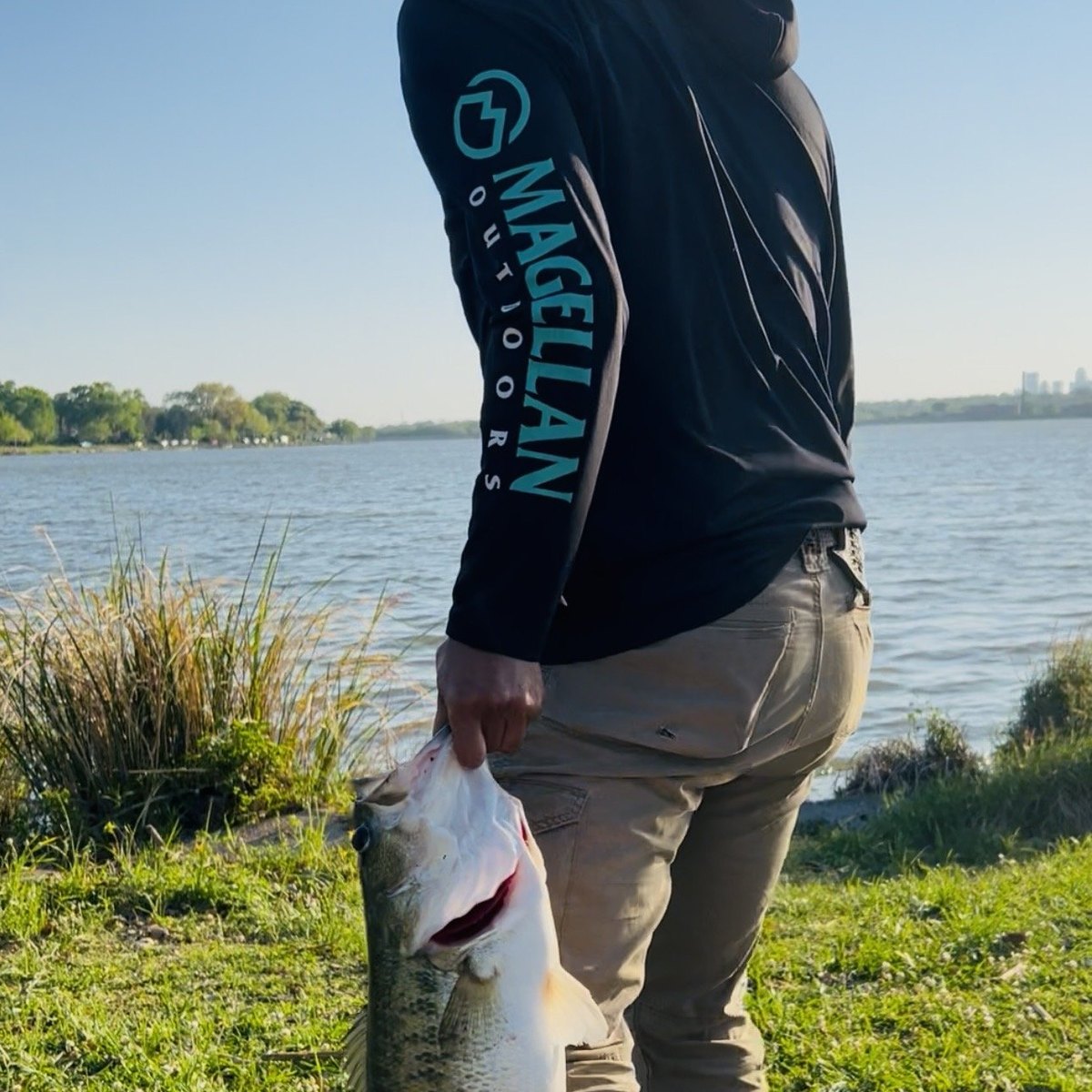 Largemouth Bass — 7 lbs 4 oz