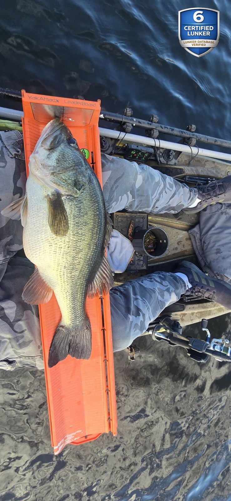 Largemouth Bass catch photo 3
