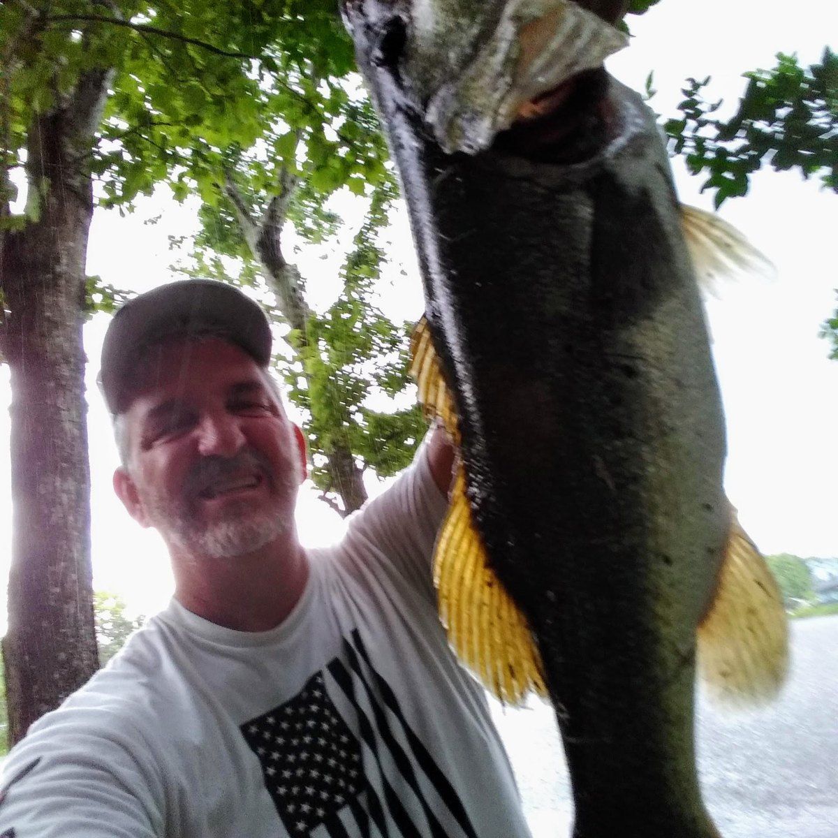 Largemouth Bass — 5 lbs
