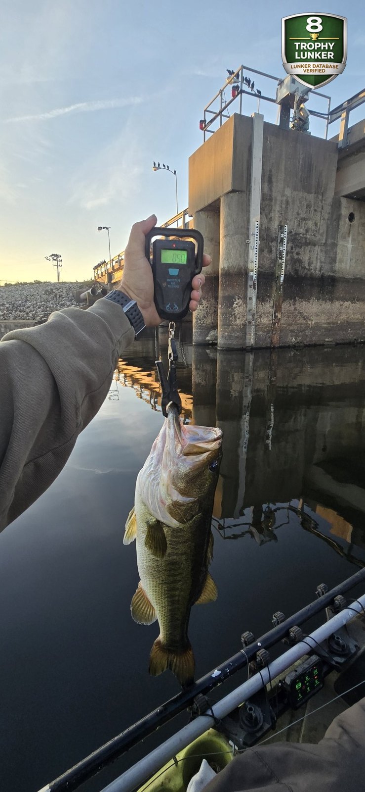 Largemouth Bass catch photo 2