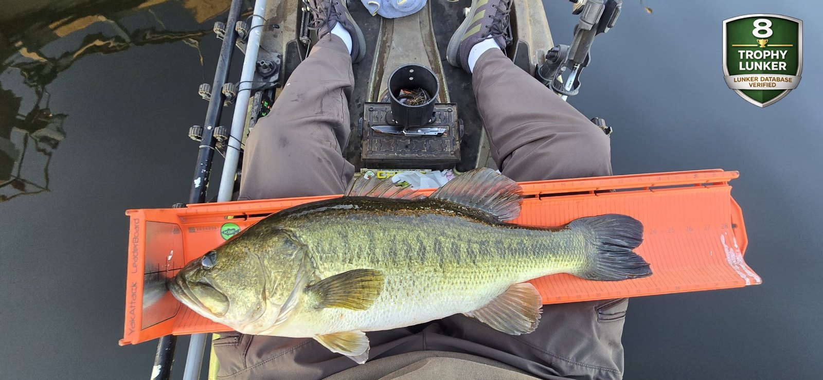 Largemouth Bass catch photo 3