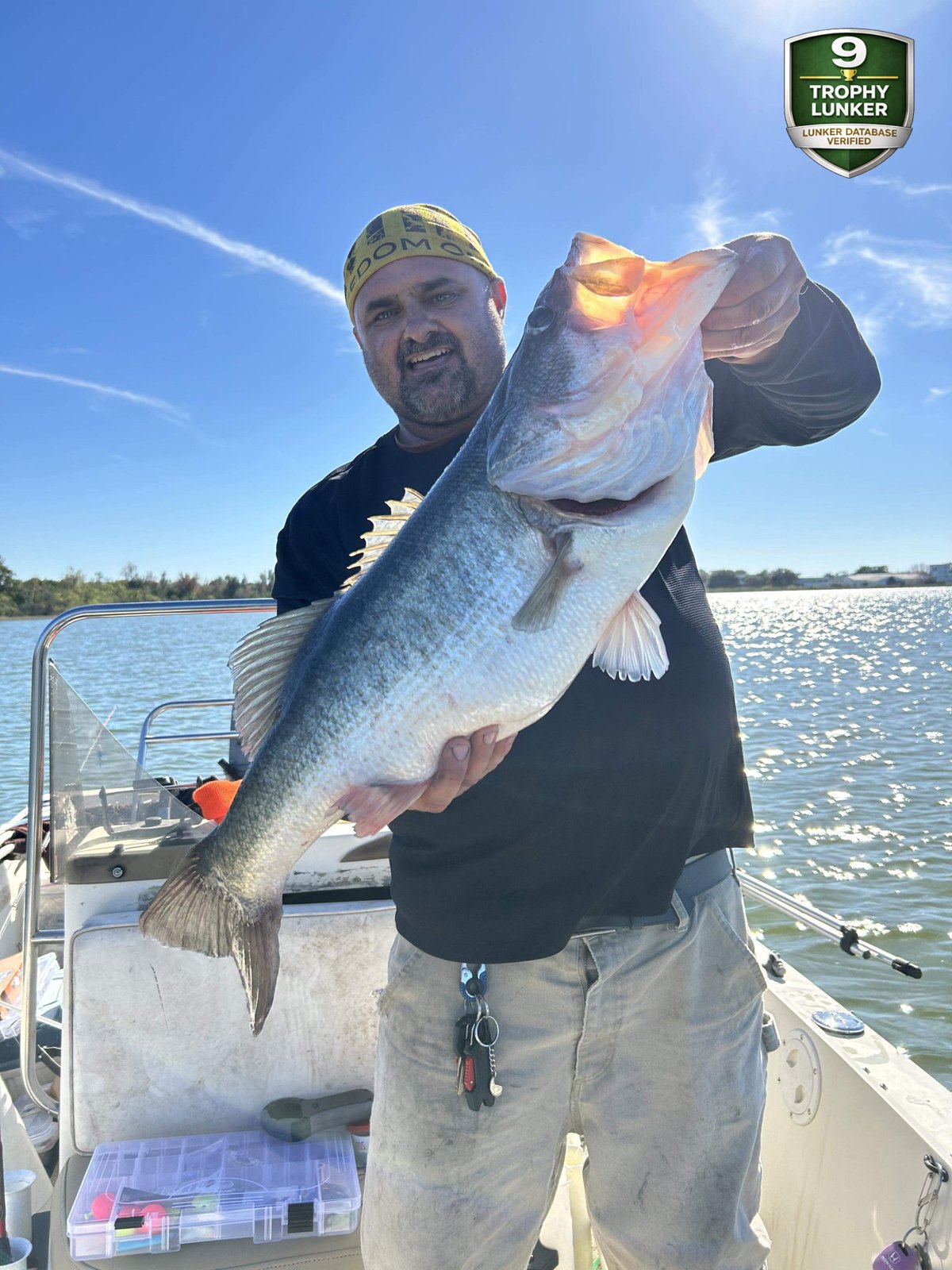 Largemouth Bass catch photo 1
