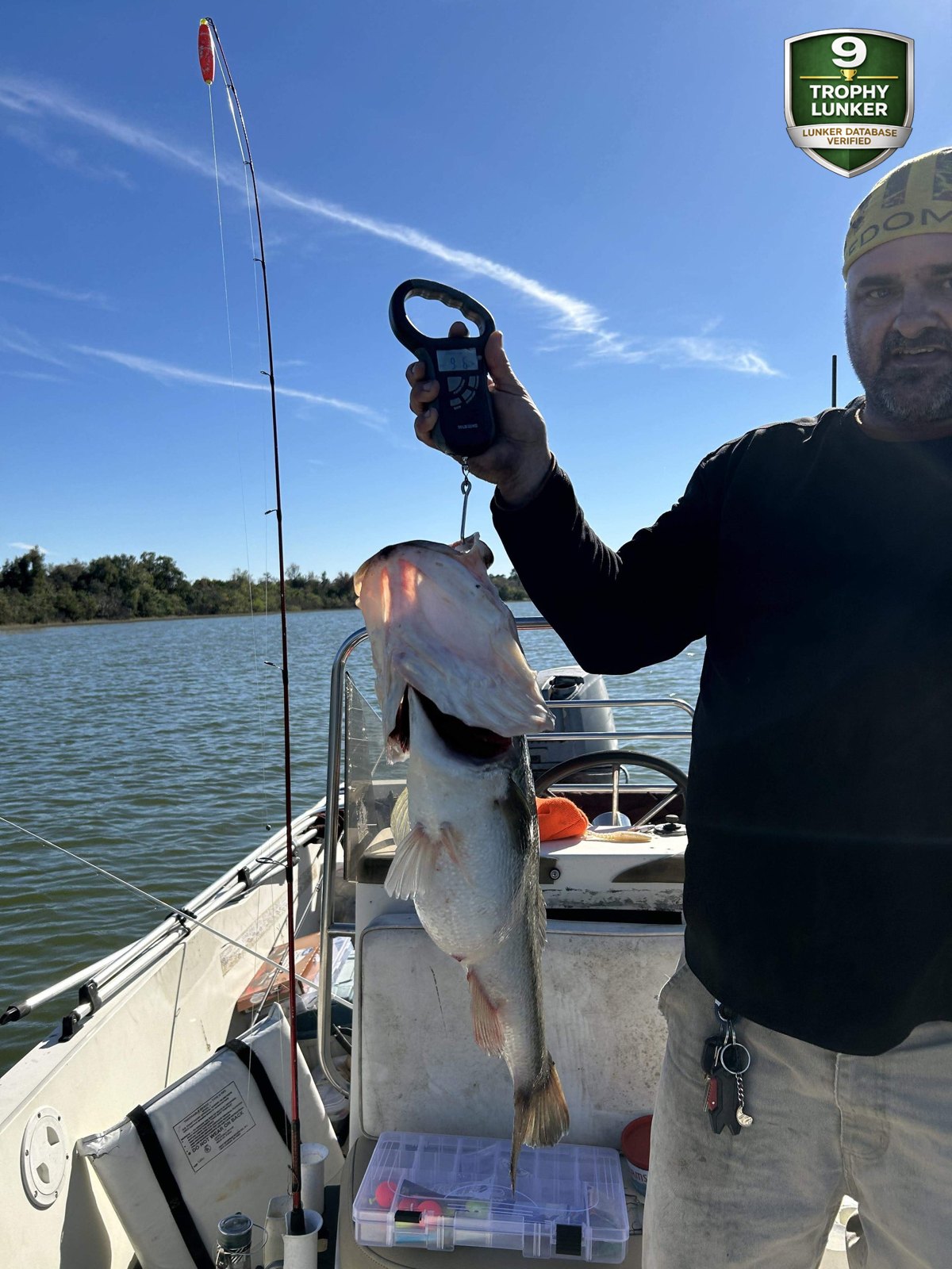 Largemouth Bass catch photo 2