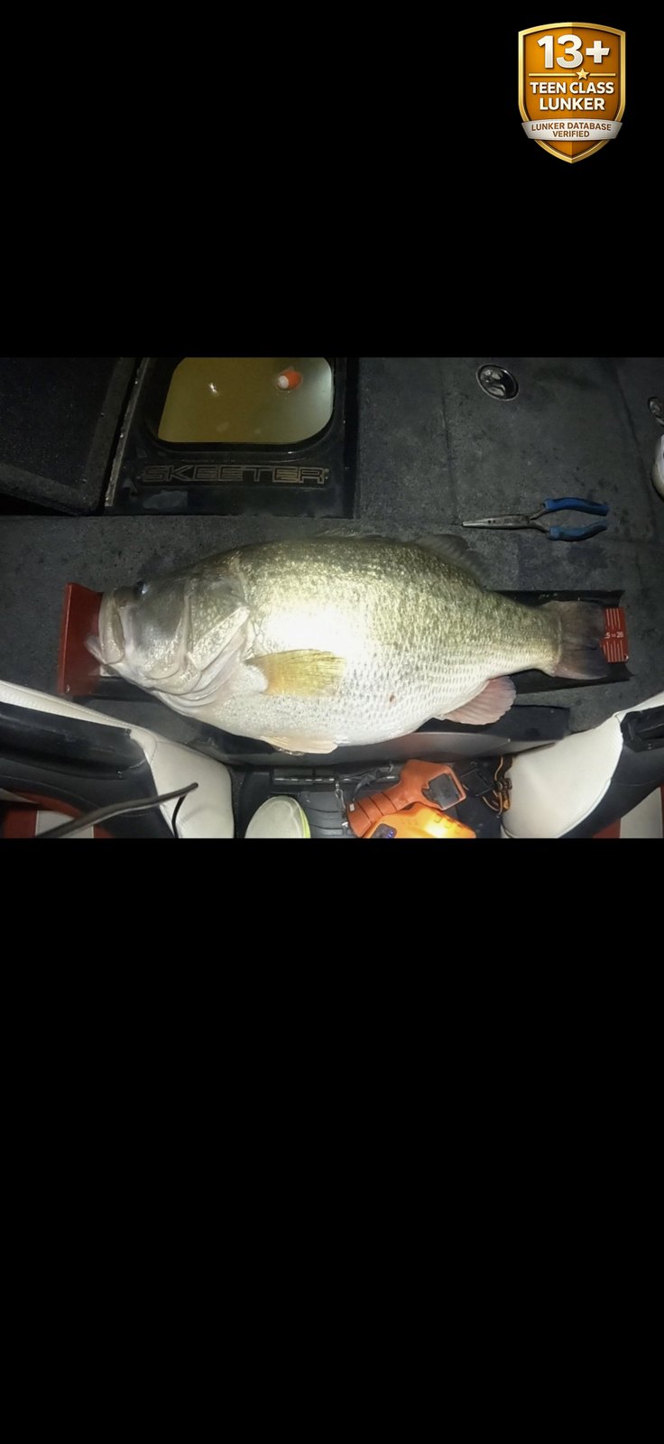Largemouth Bass catch photo 3
