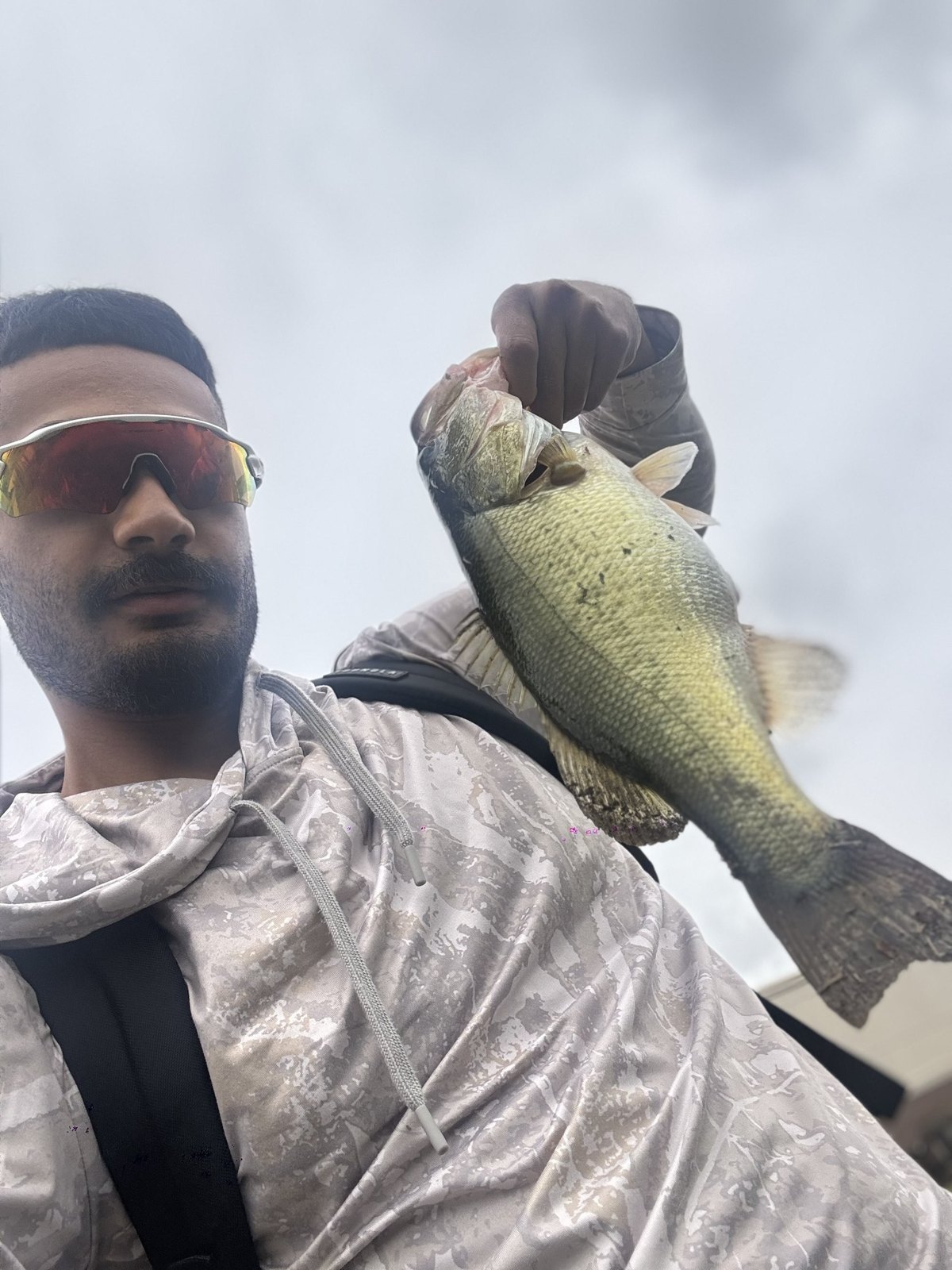 Largemouth Bass catch photo 1