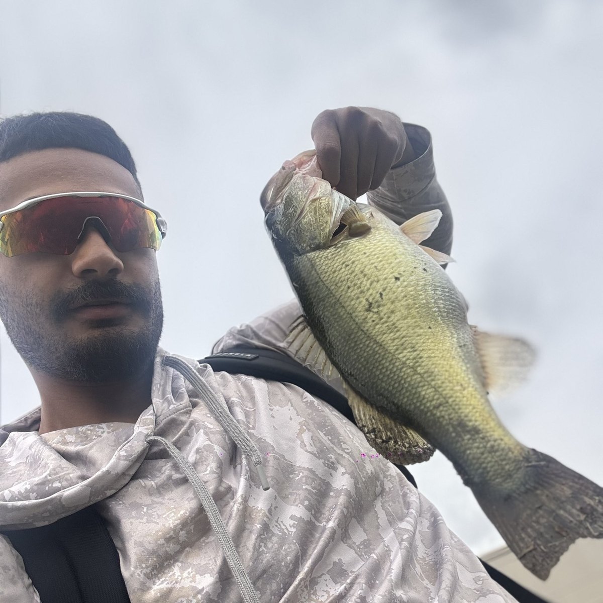 Largemouth Bass — 2 lbs 3 oz