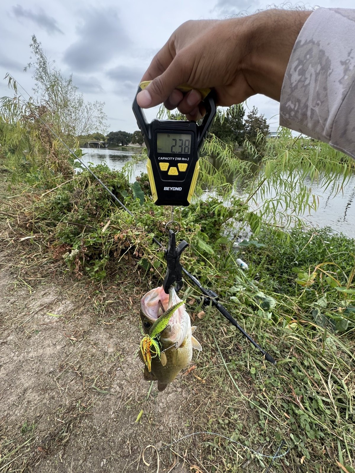 Largemouth Bass catch photo 2