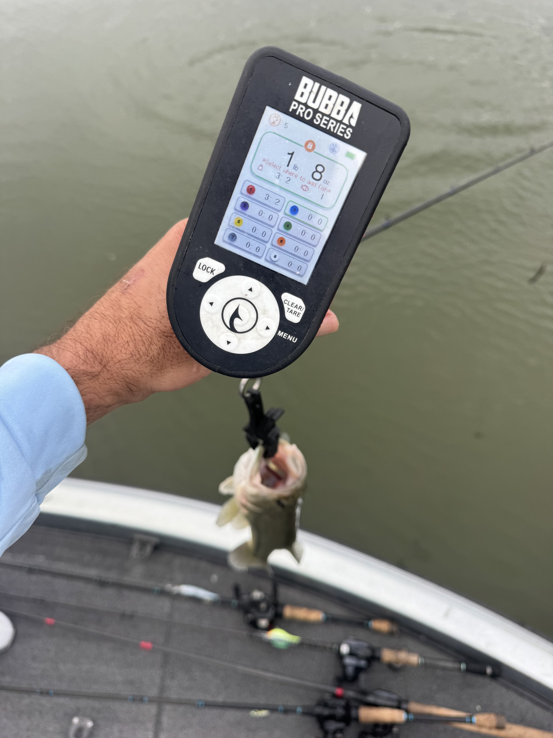 Fishing report photo