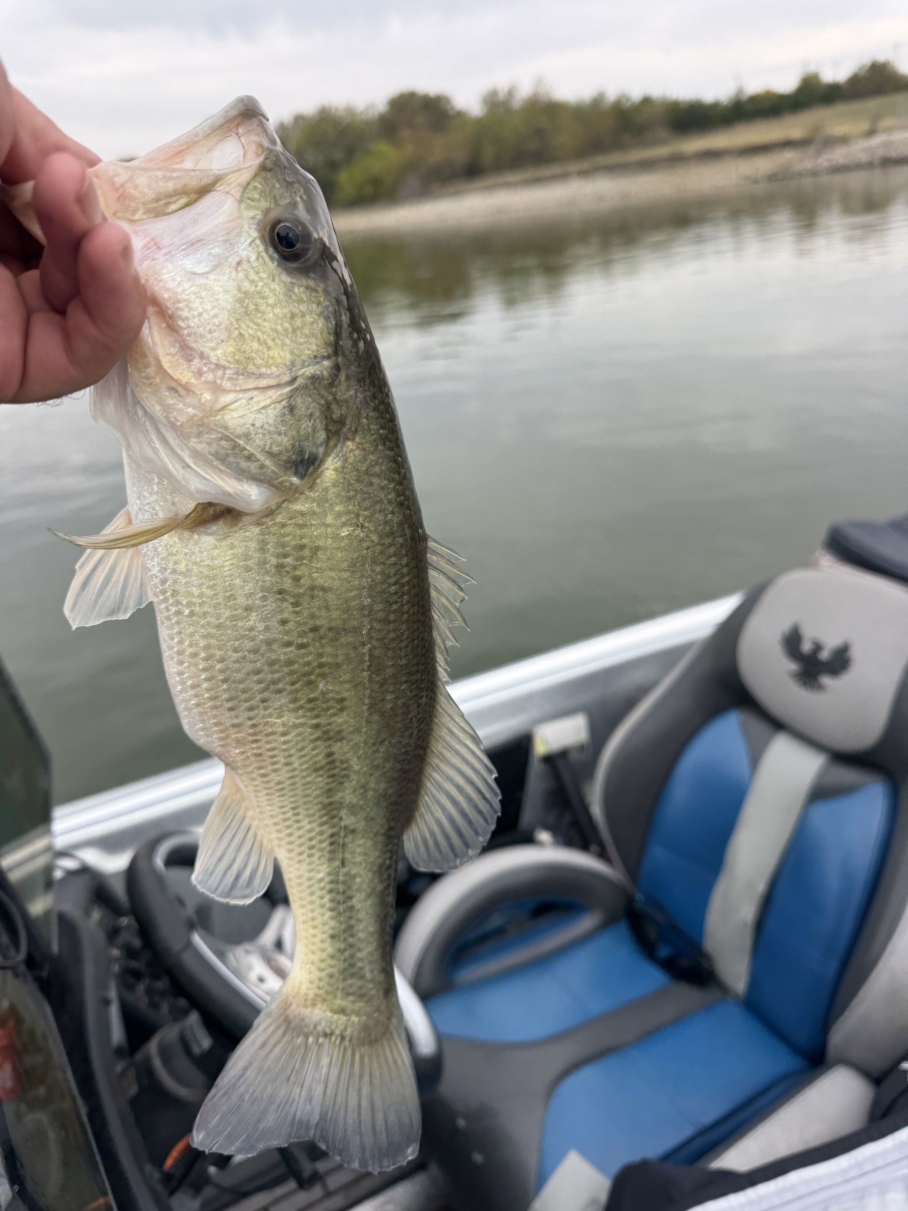 Fishing report photo