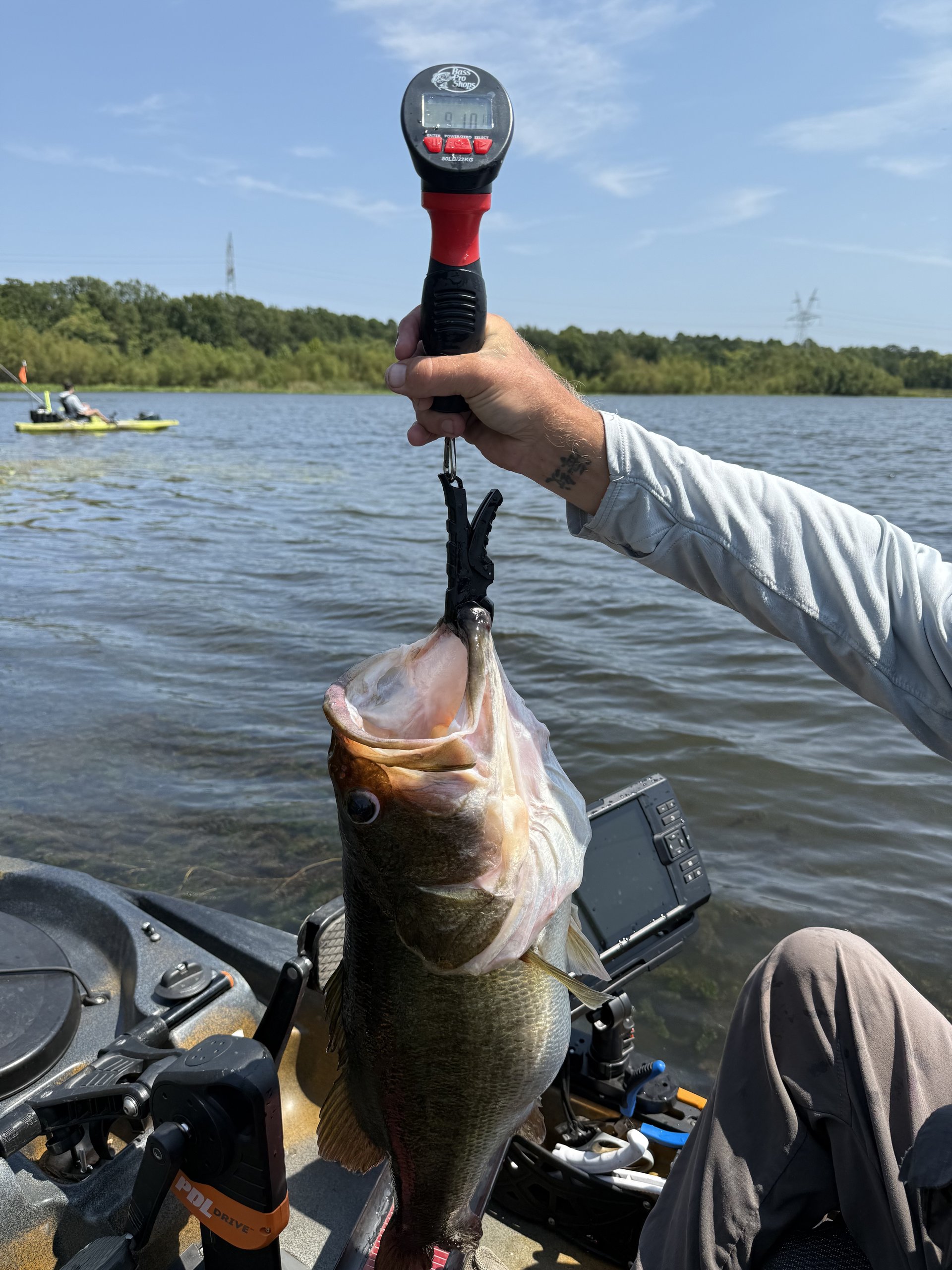 Largemouth Bass catch photo 2