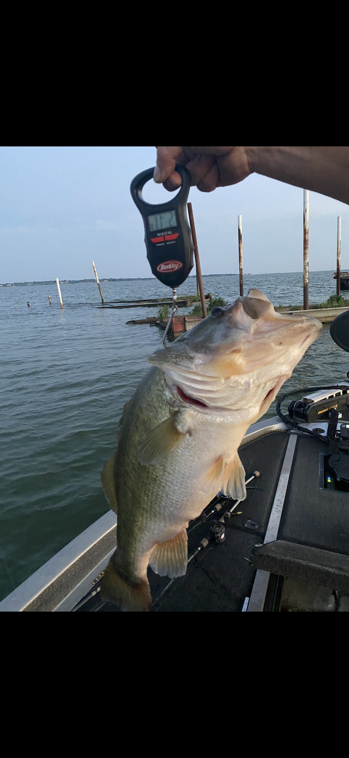Largemouth Bass catch photo 2