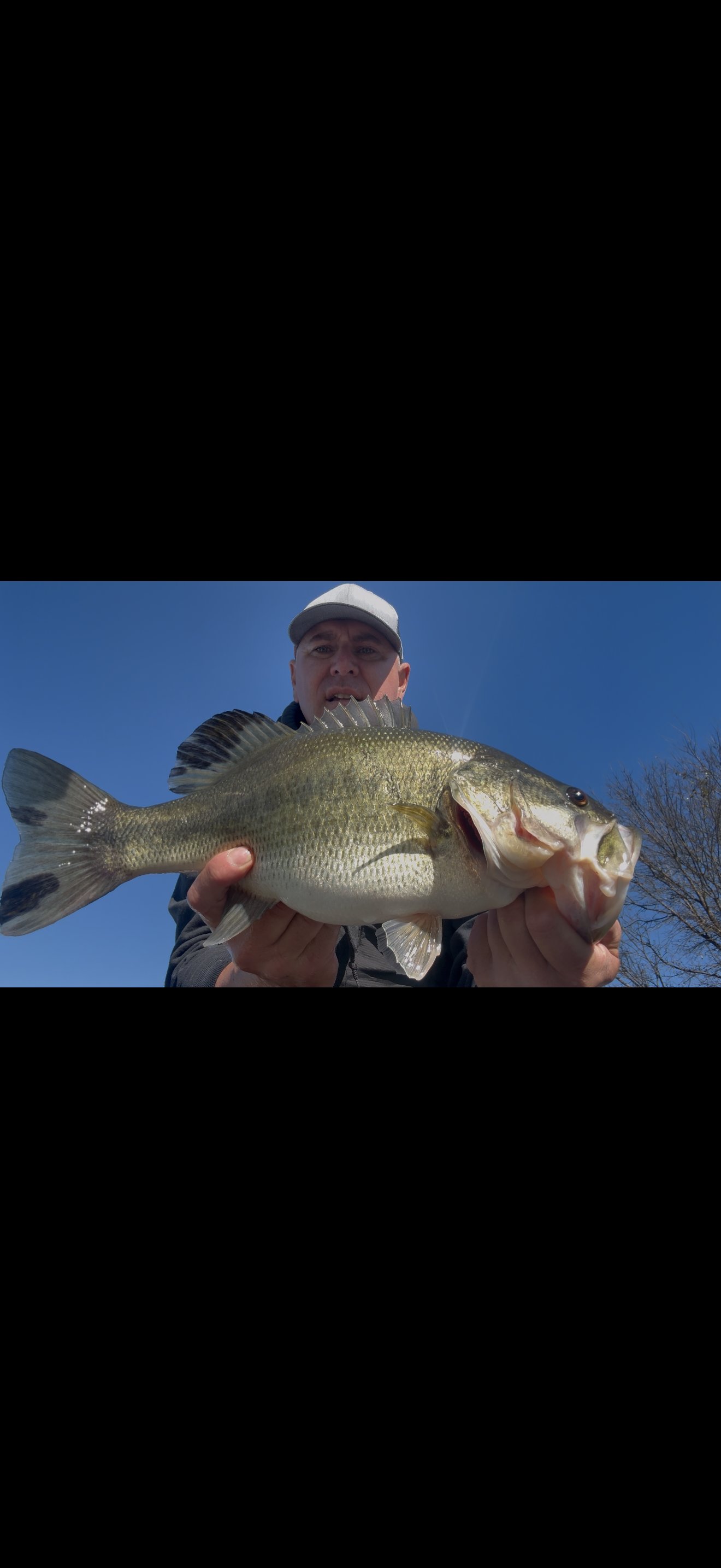 Largemouth Bass catch photo 1