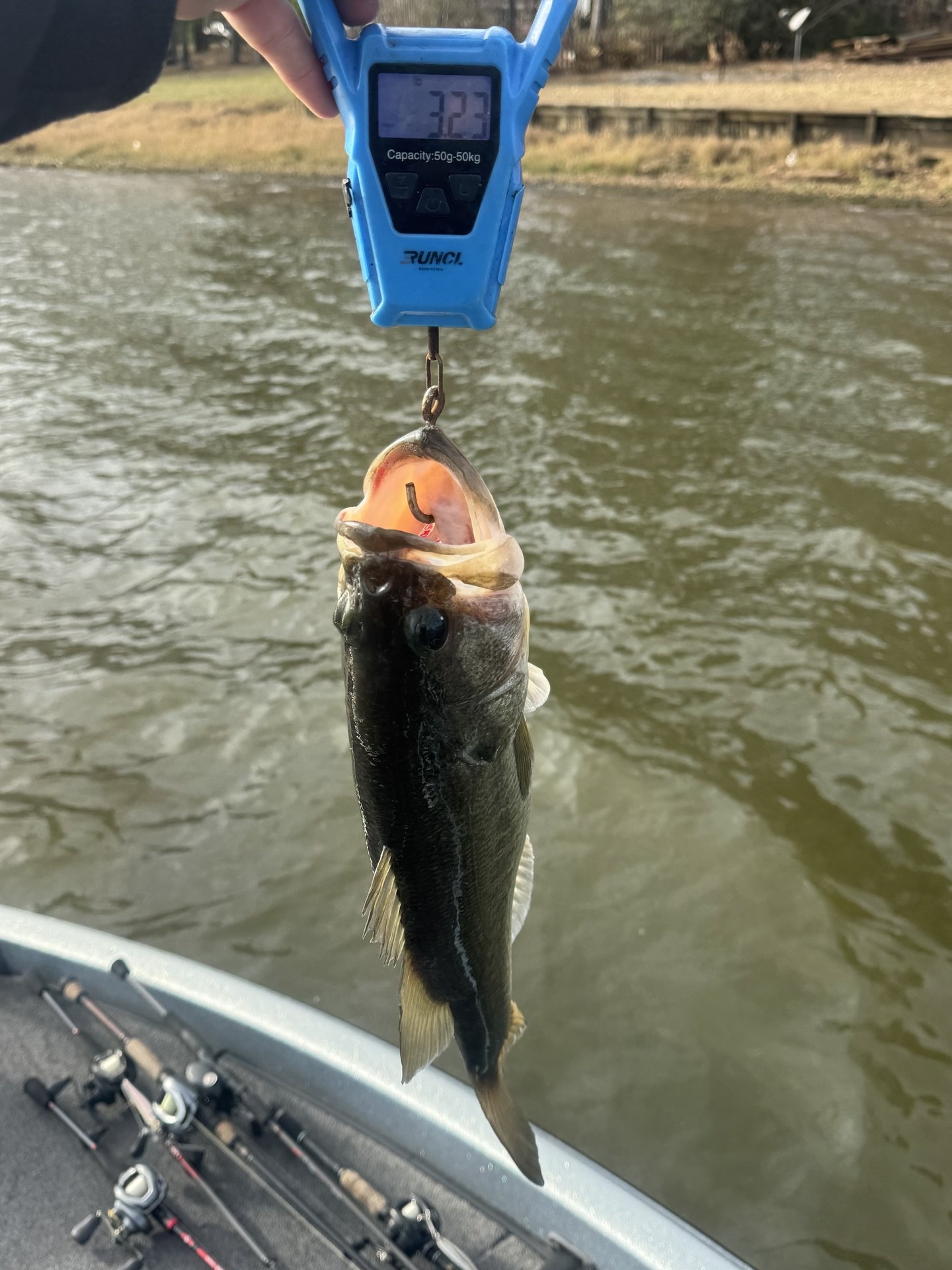 Largemouth Bass catch photo 2