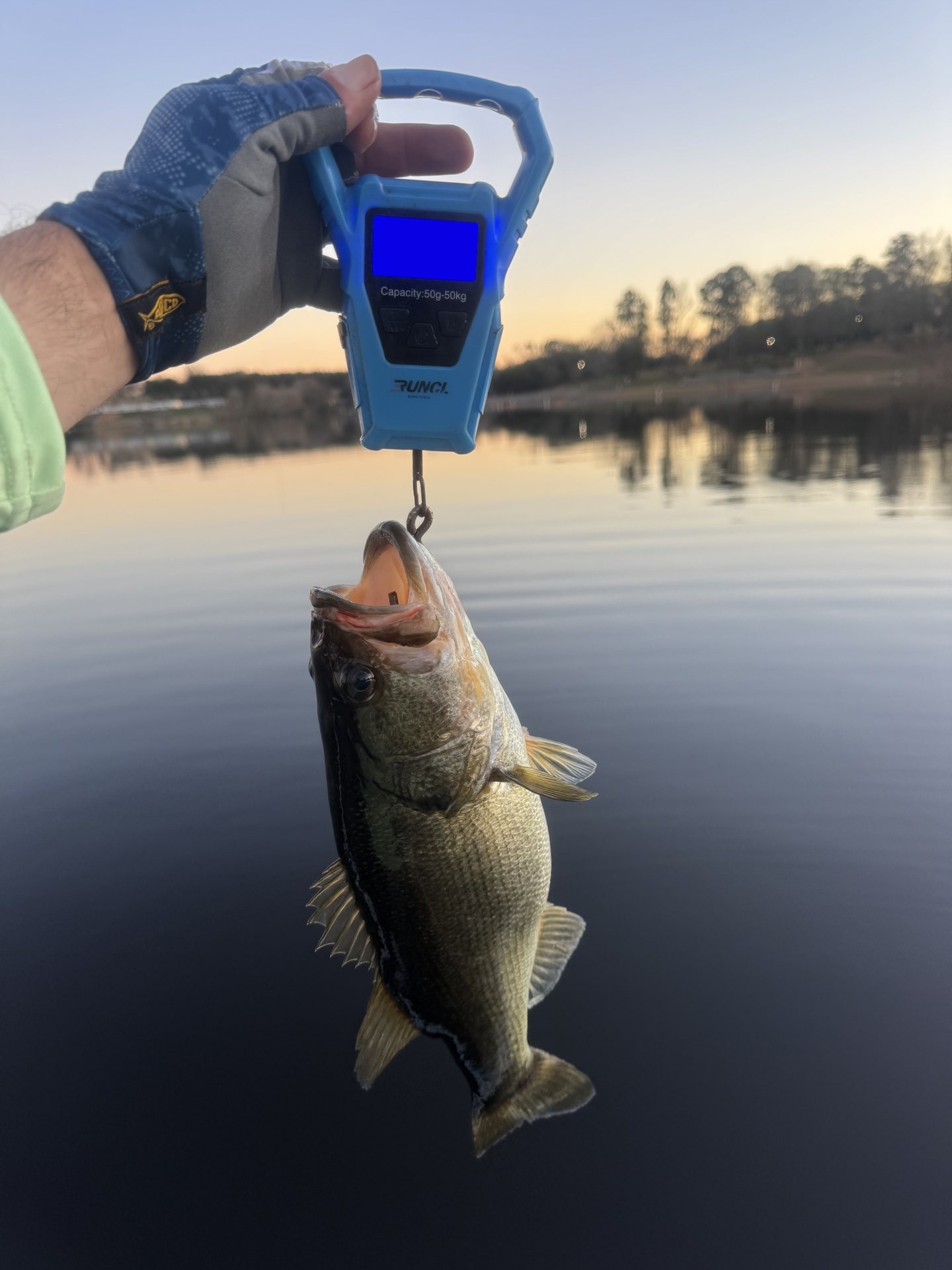 Largemouth Bass catch photo 2